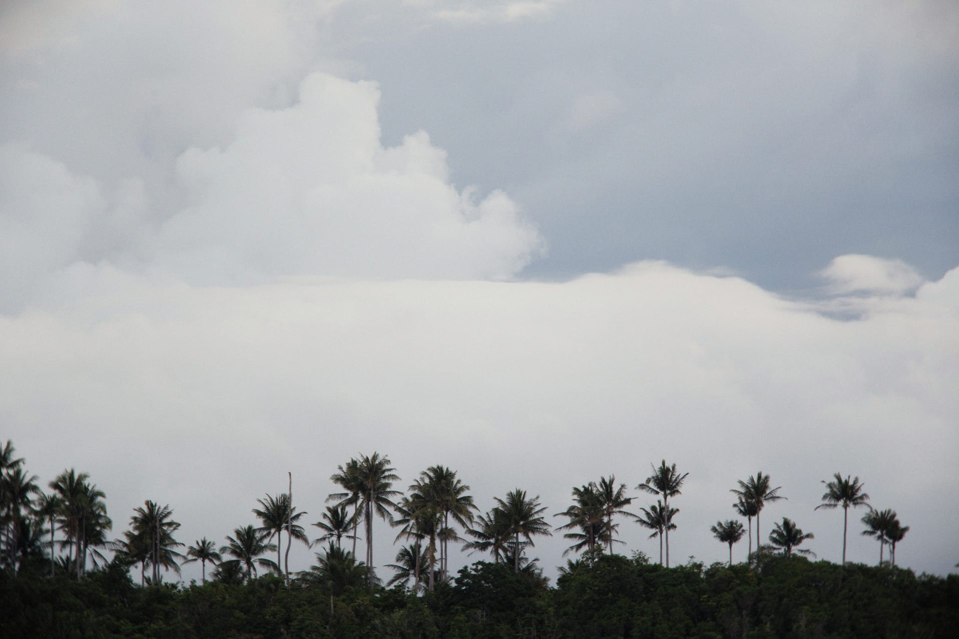 Aitutaki — local identity