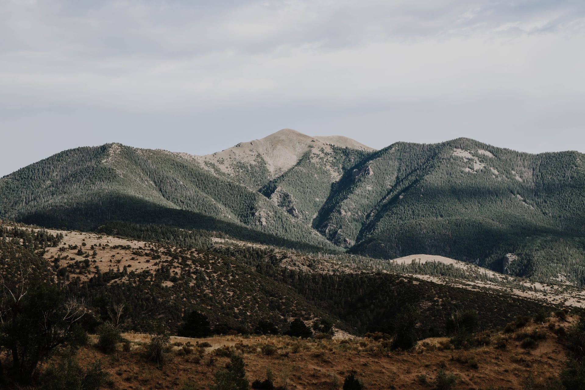 Alamosa — local identity
