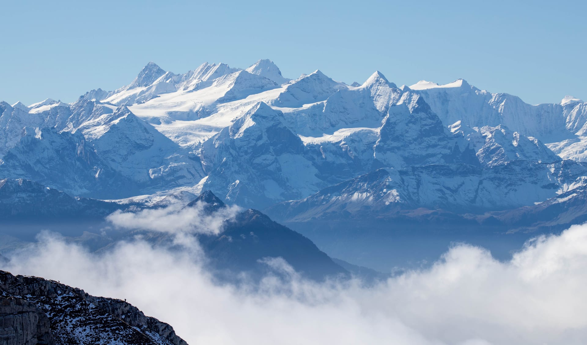 Alpine — local identity