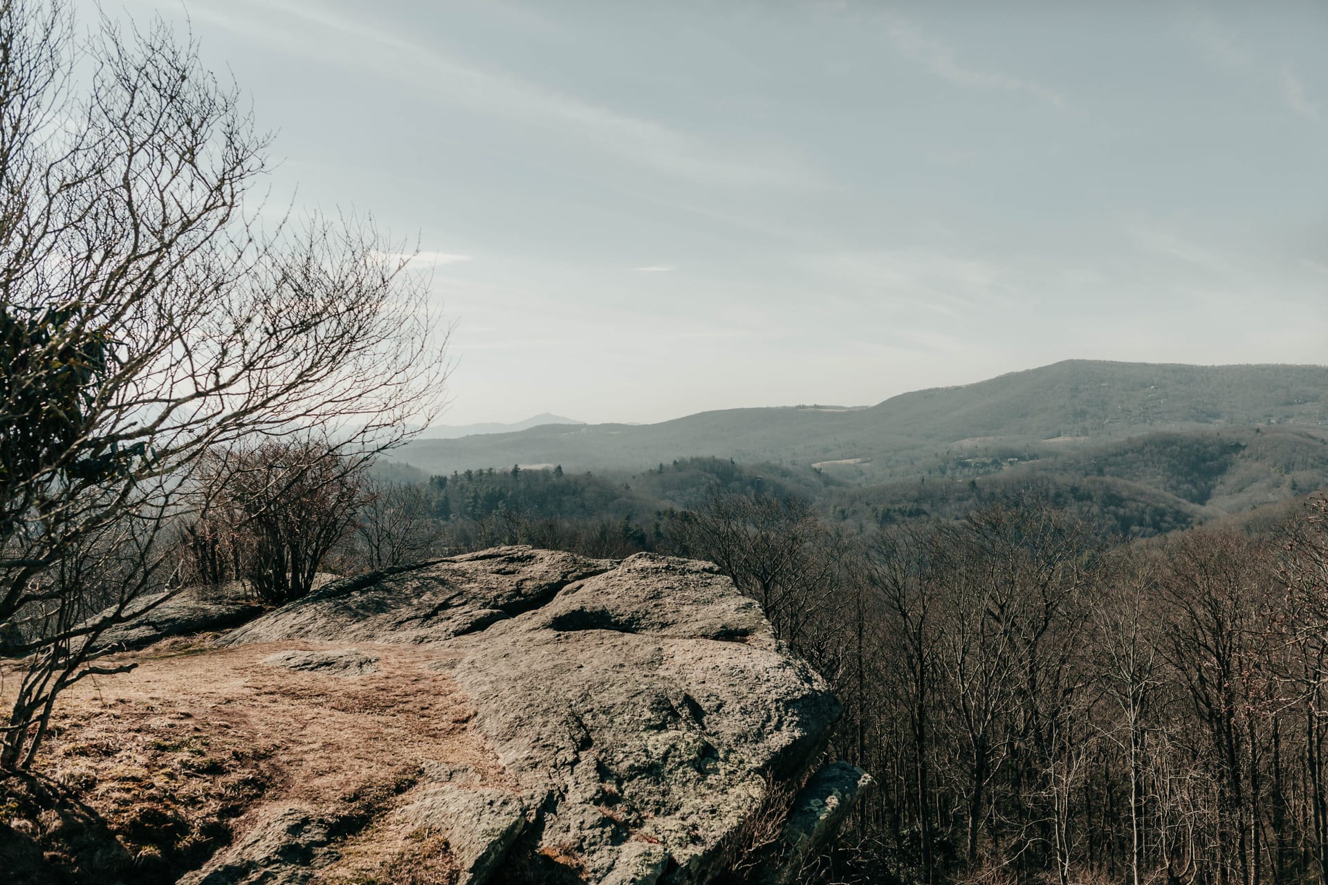 Asheville — local identity