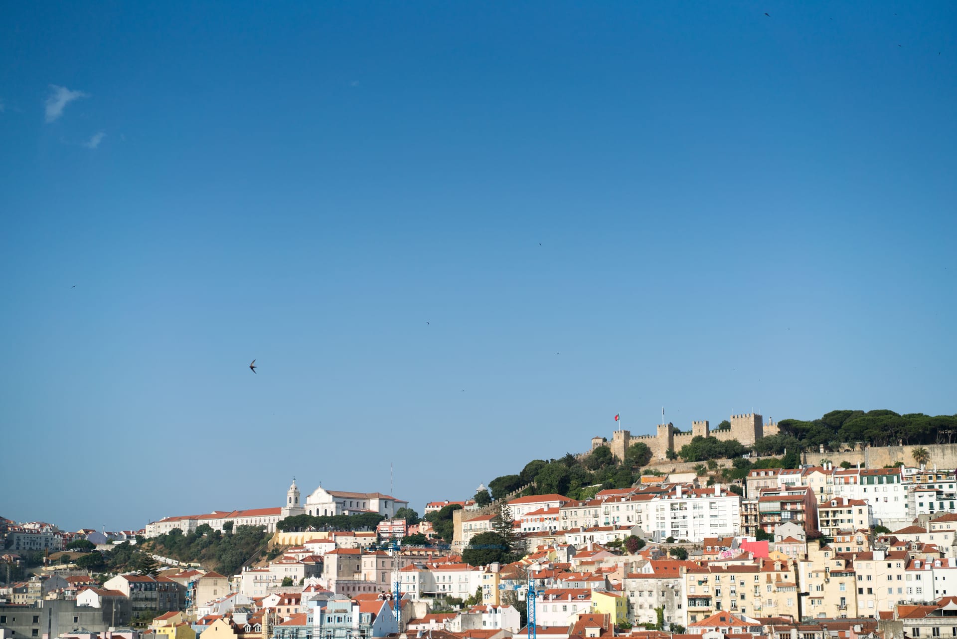 Assis — local identity