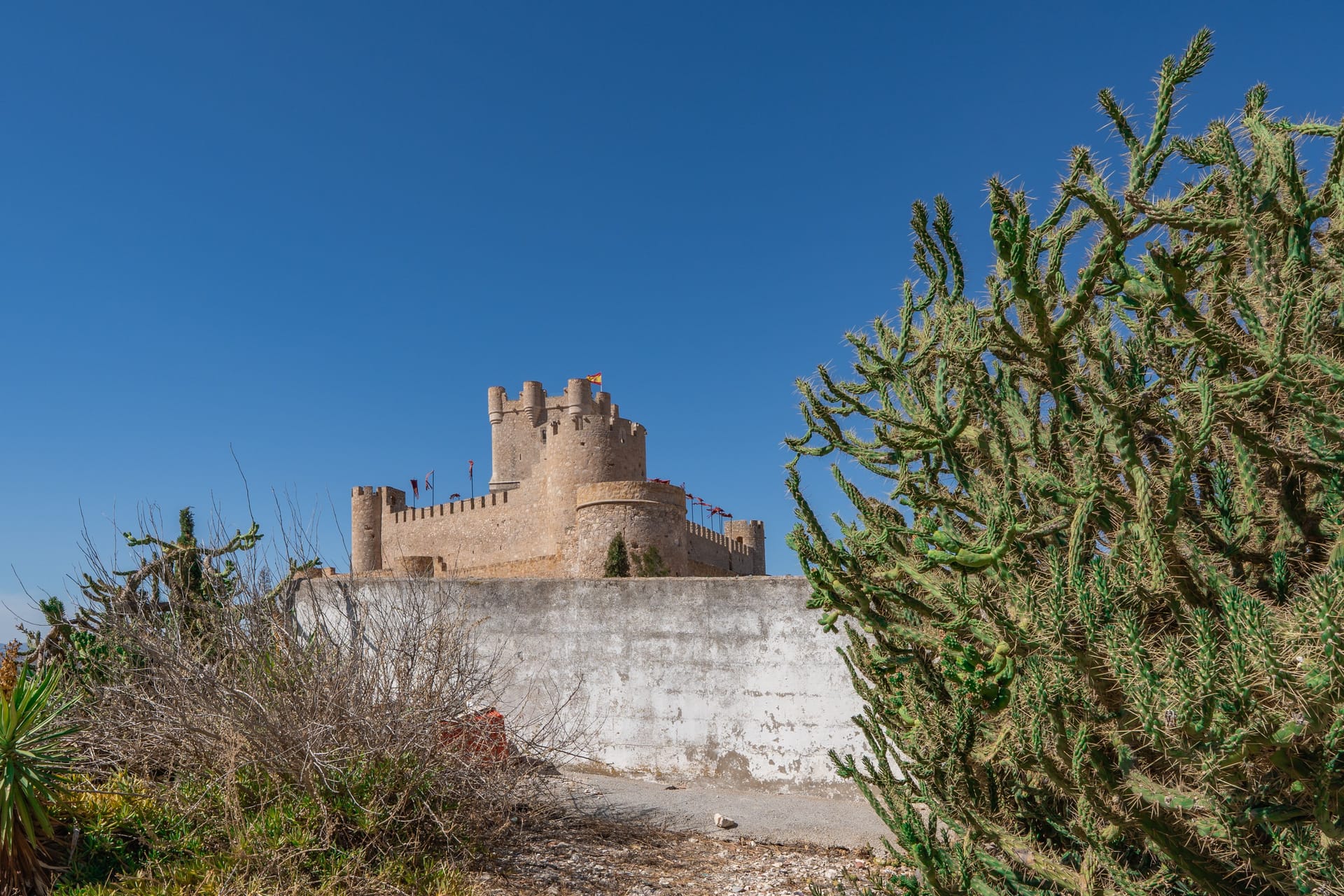 Atalaya — local identity