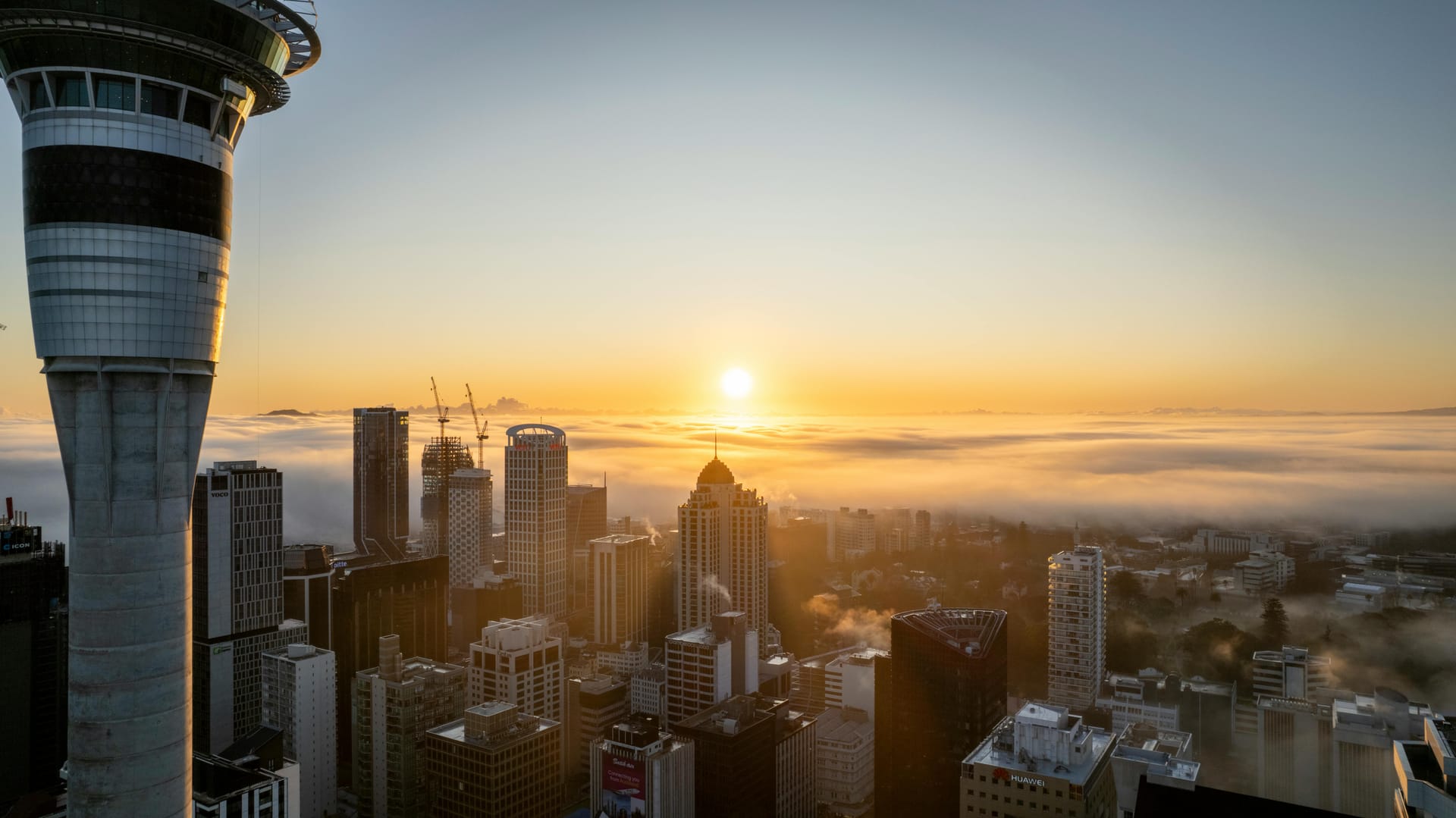 Auckland — local identity