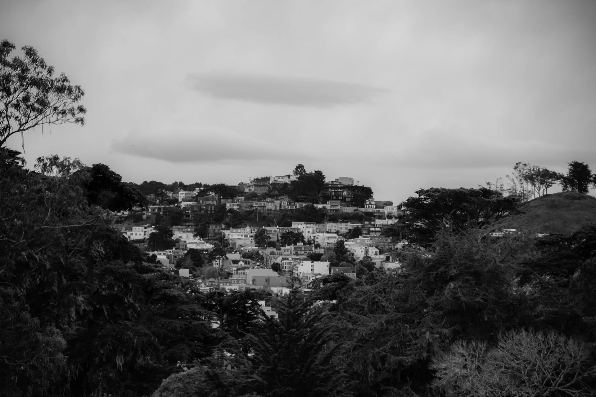Awanui — local identity