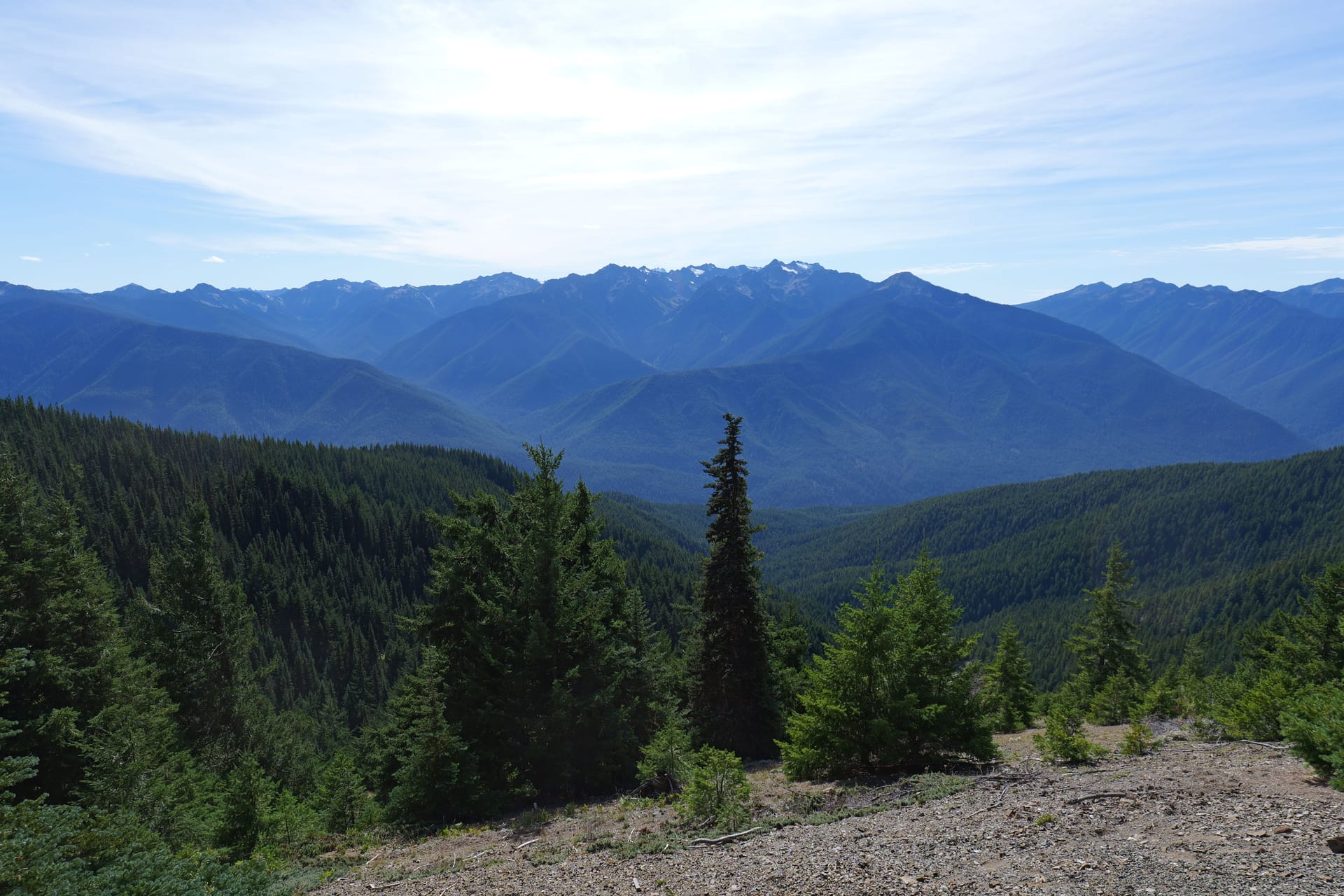 Bella Coola — local identity