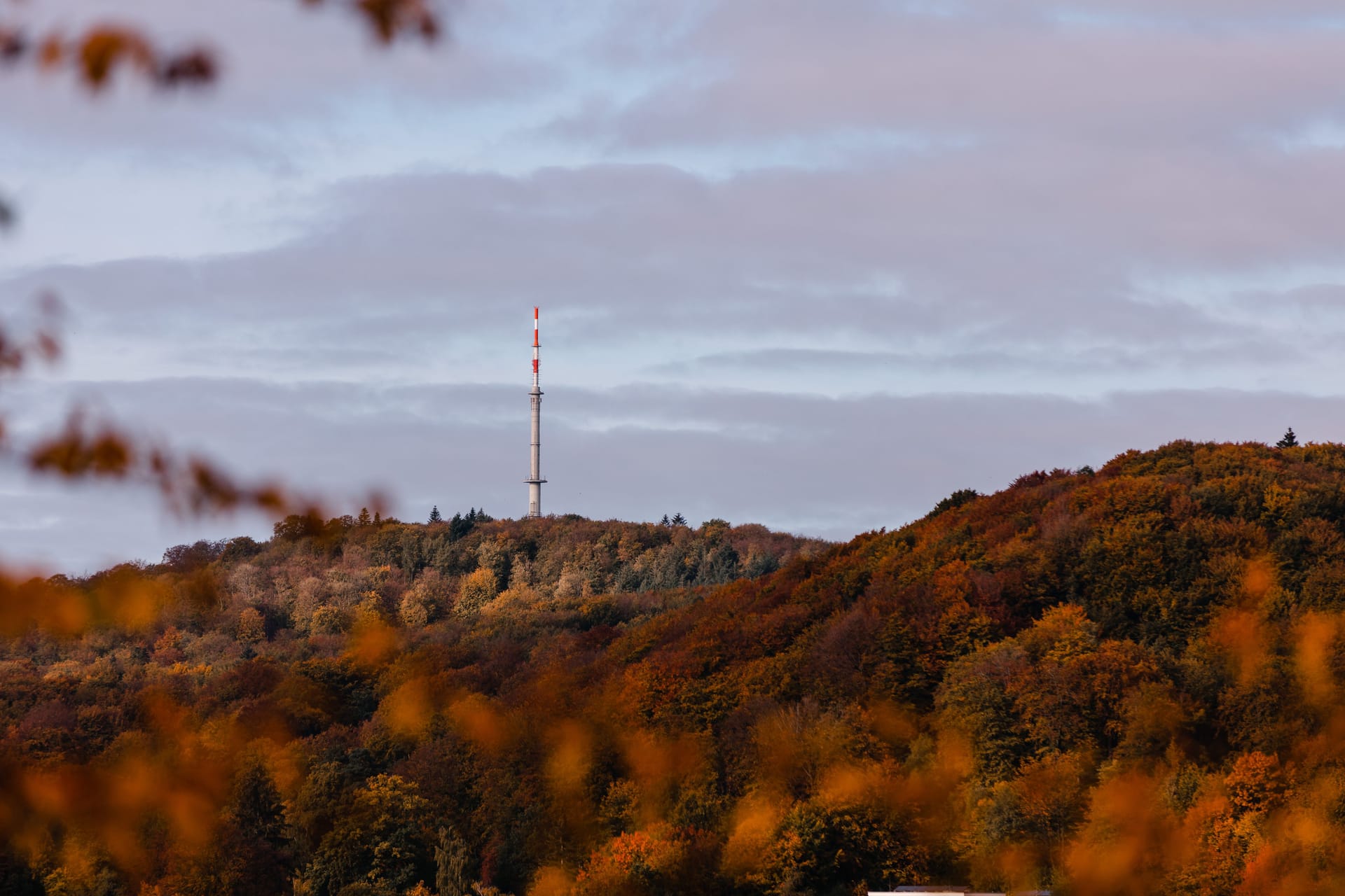 Bielefeld — local identity