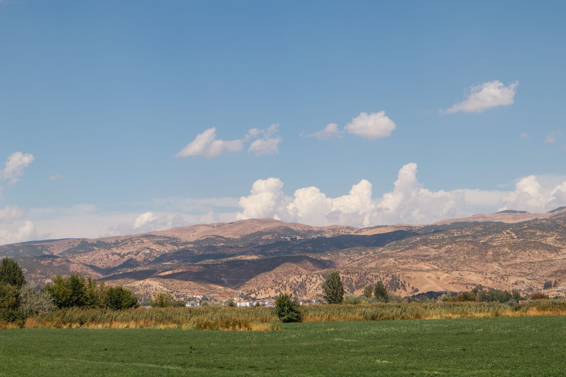 Bingöl — local identity
