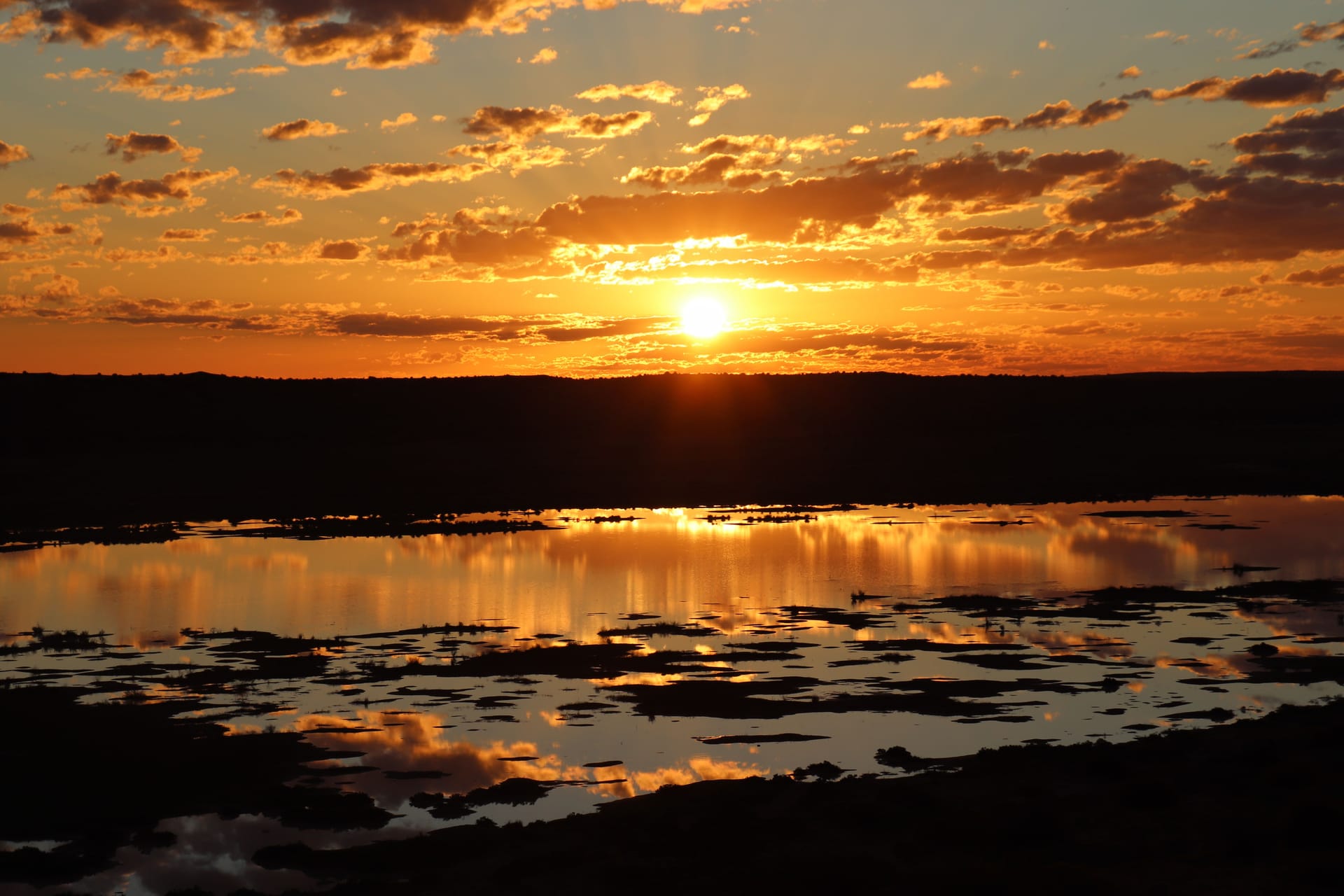 Birdsville — local identity
