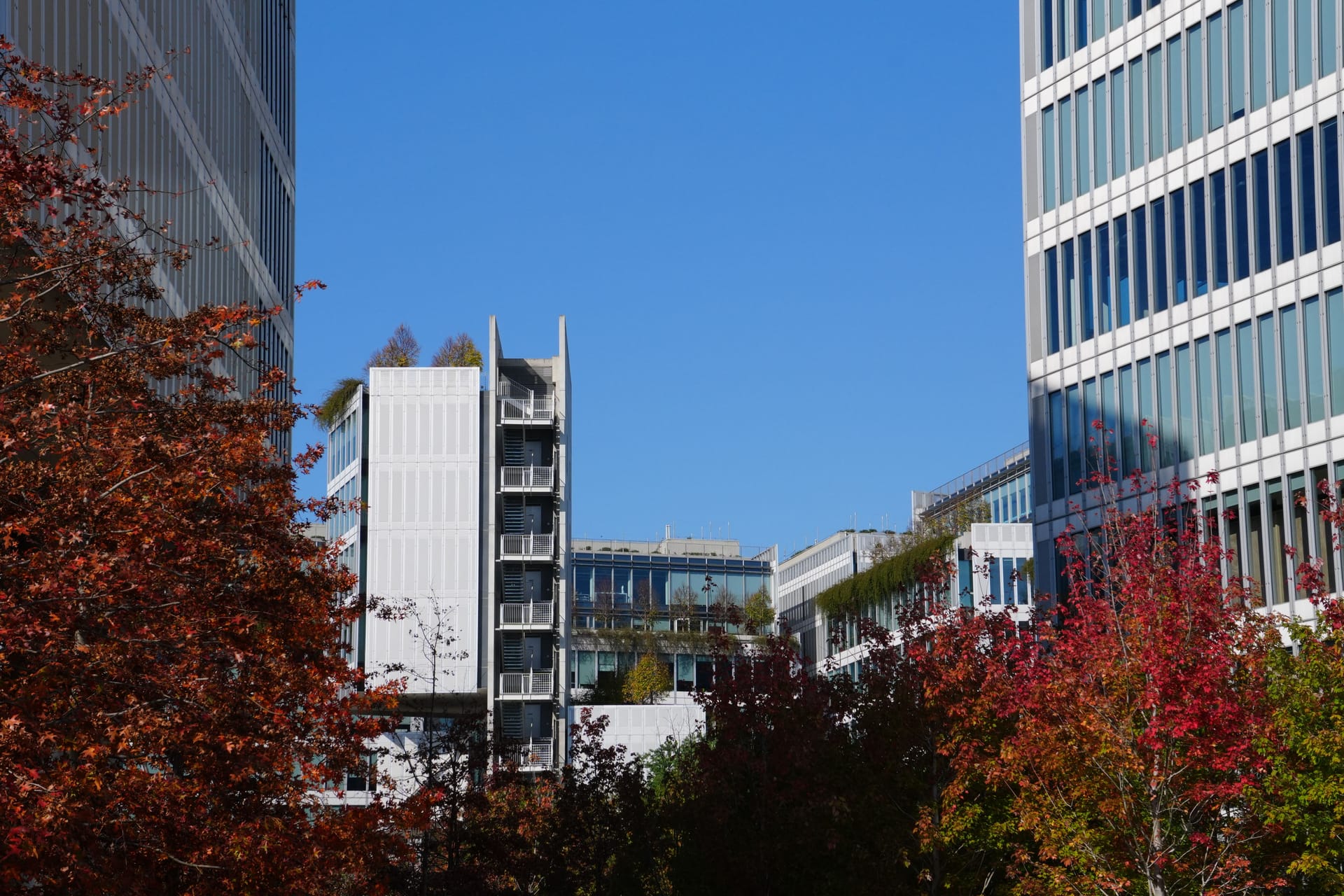 Brive — local identity