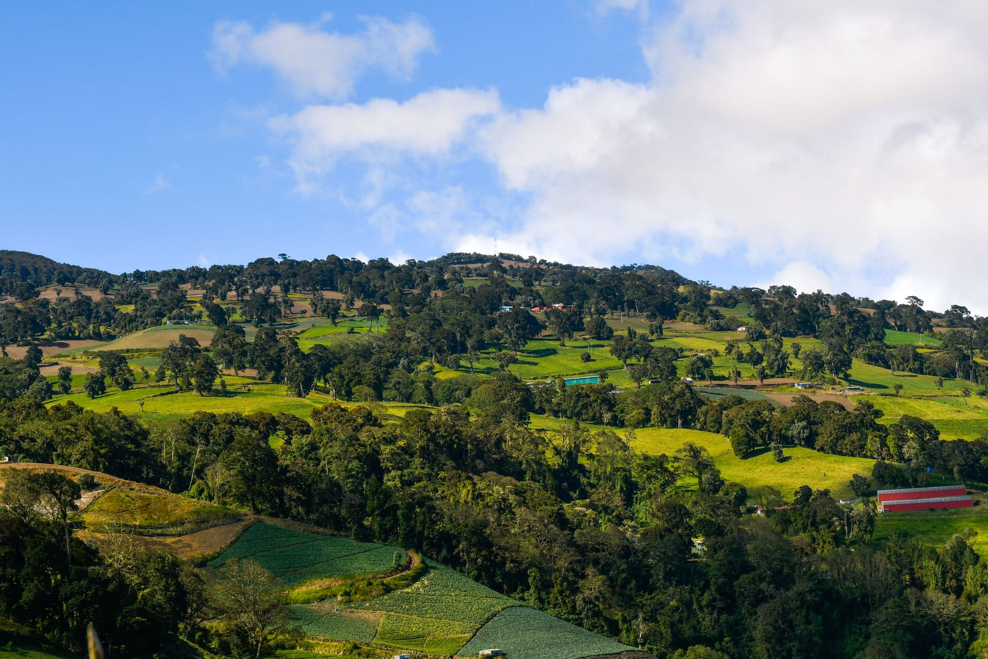 Cartago — local identity
