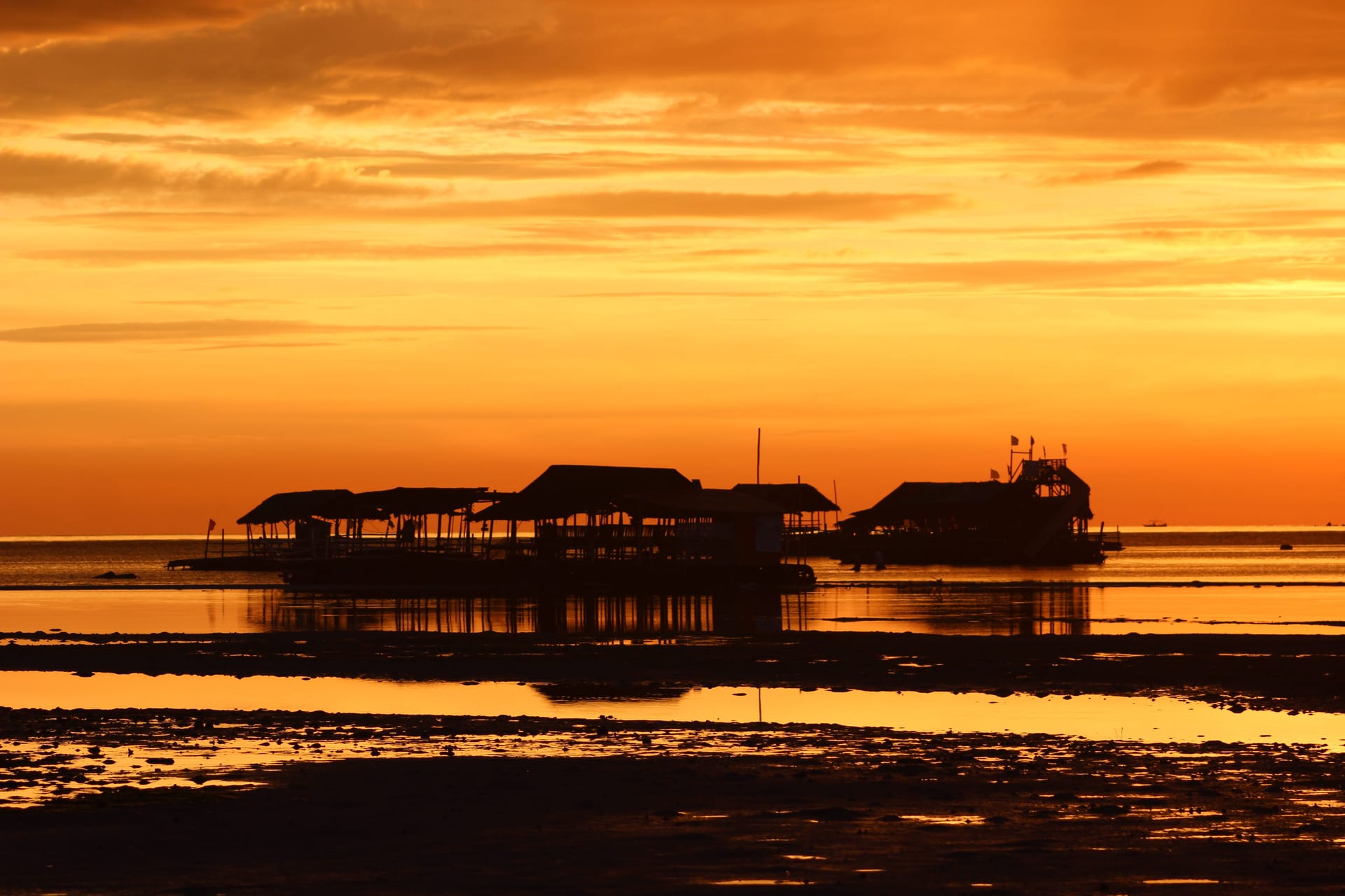 Cauayan City — local identity