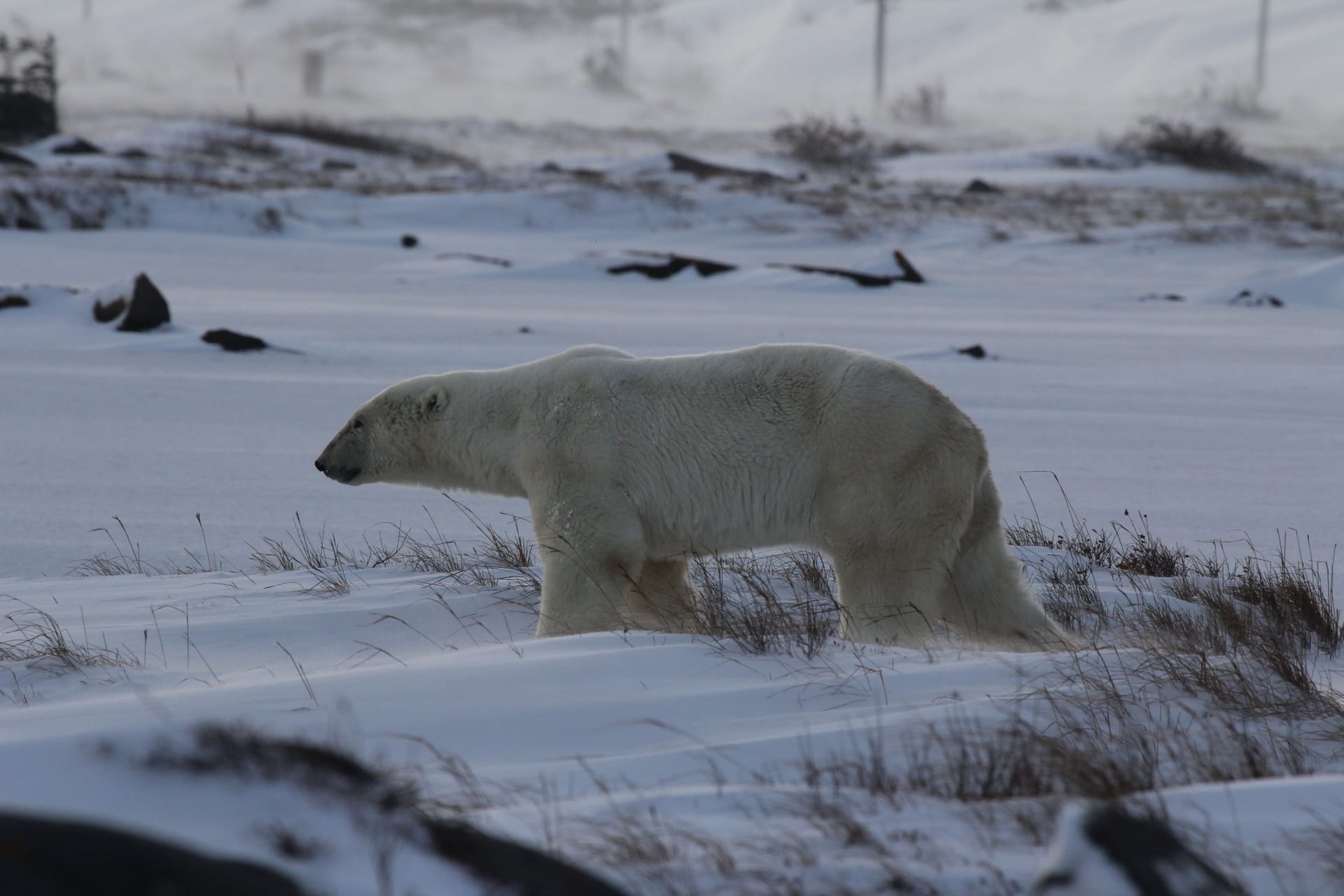 Churchill Falls — local identity