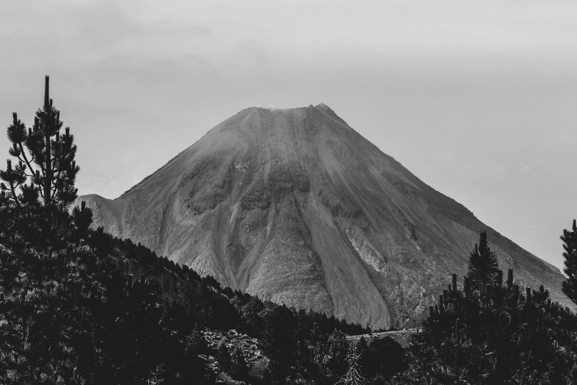 Colima — local identity