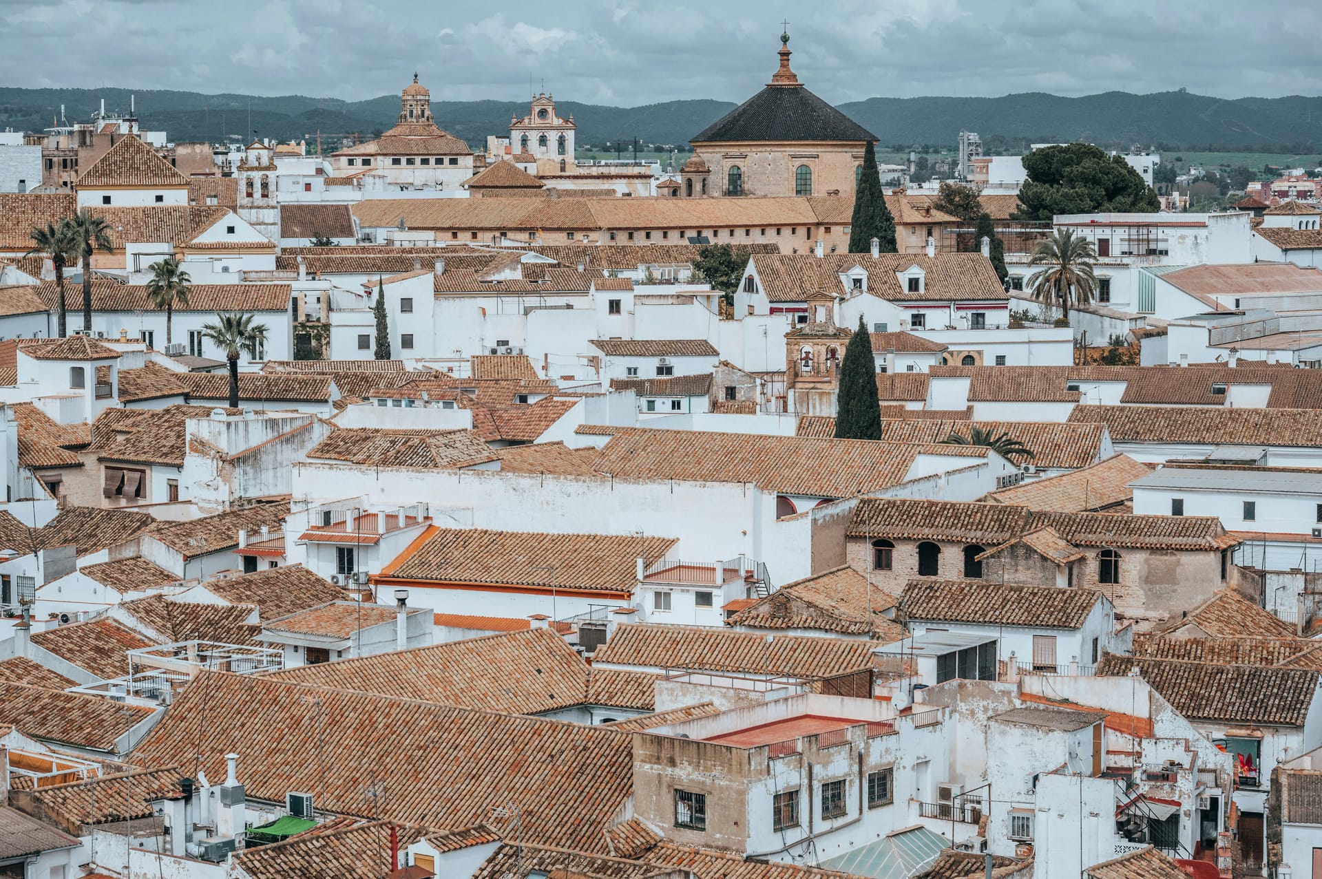 Cordoba — local identity