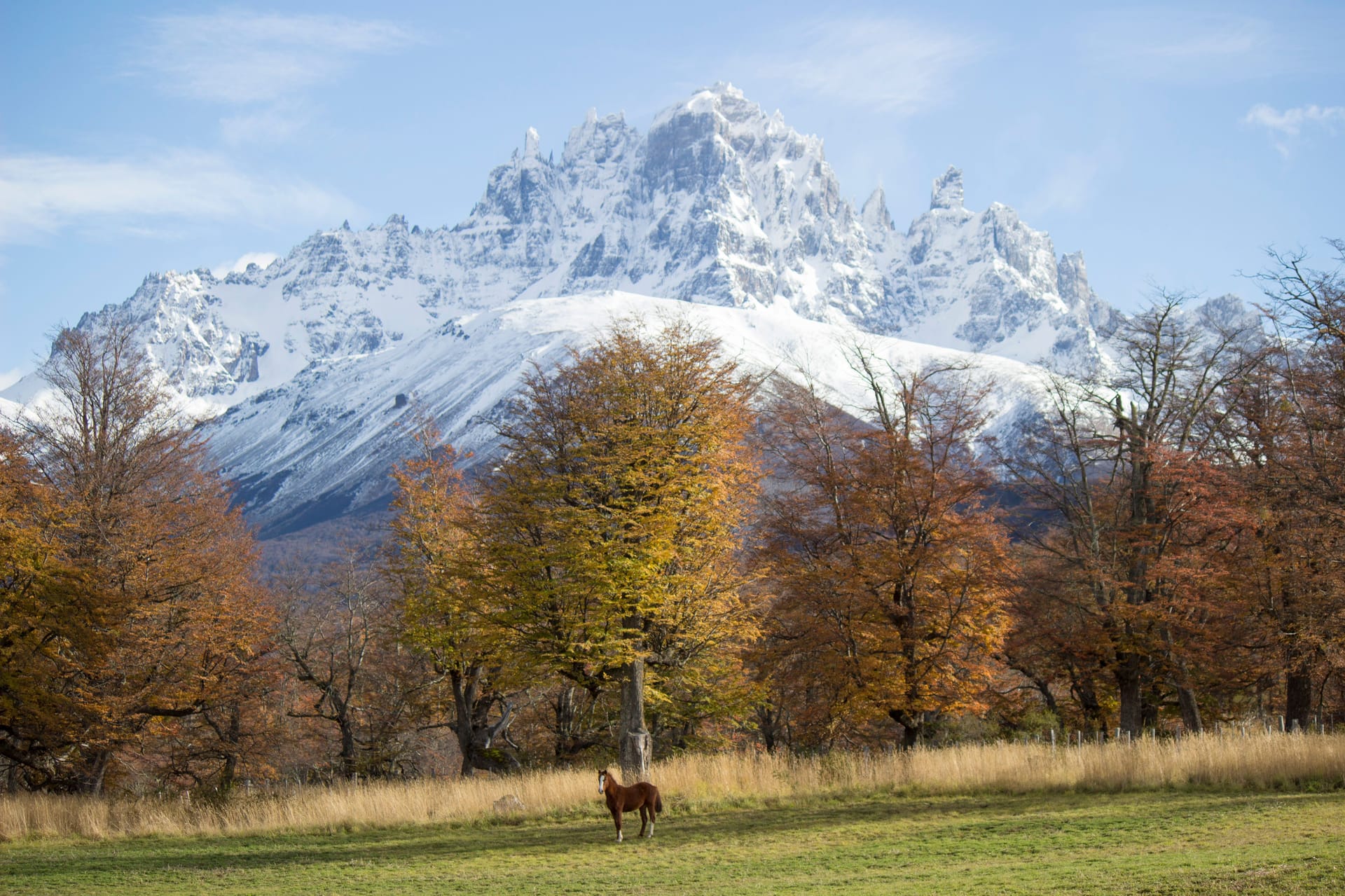 Coyhaique — local identity