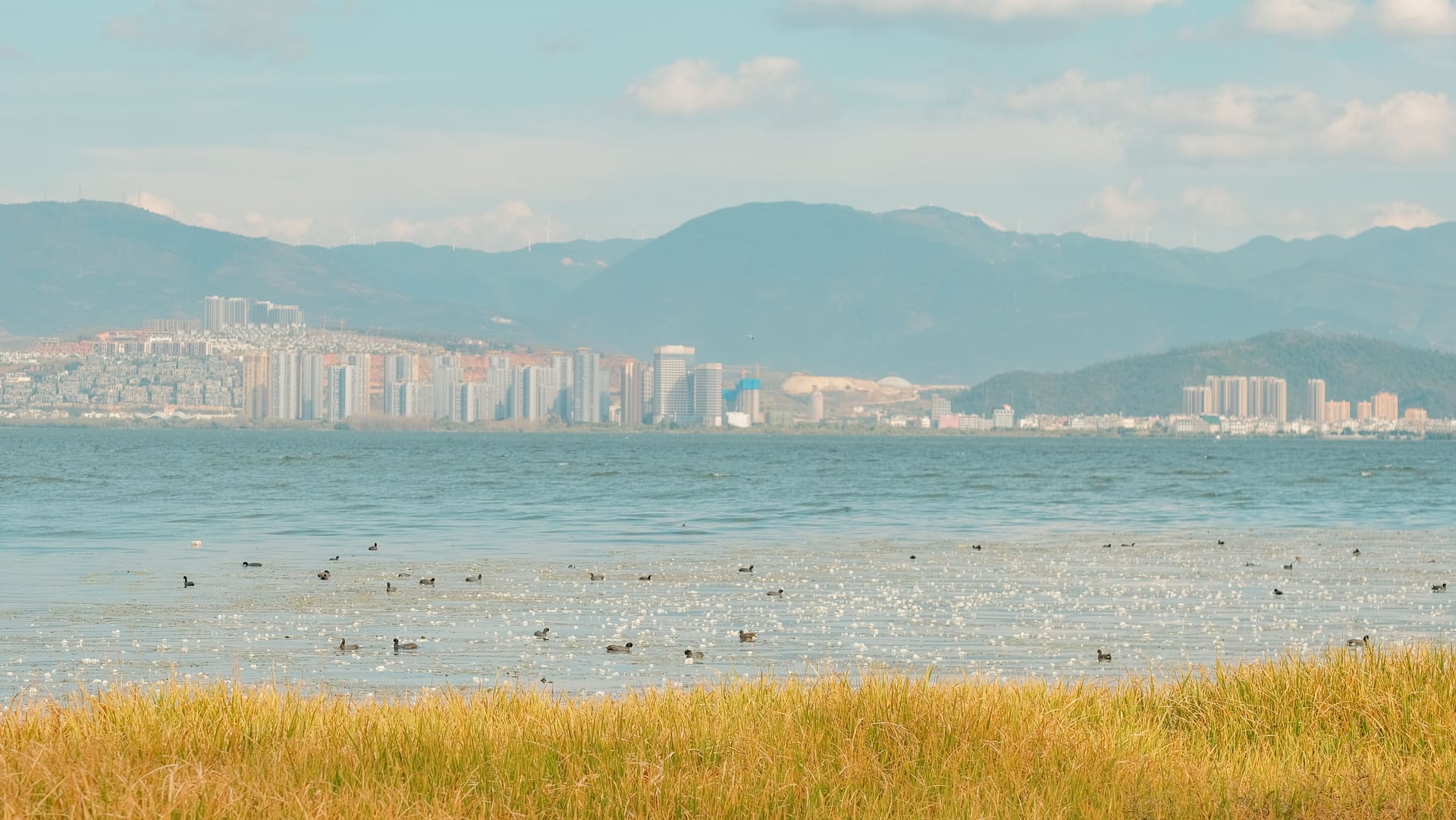 Dali (Xiaguan) — local identity