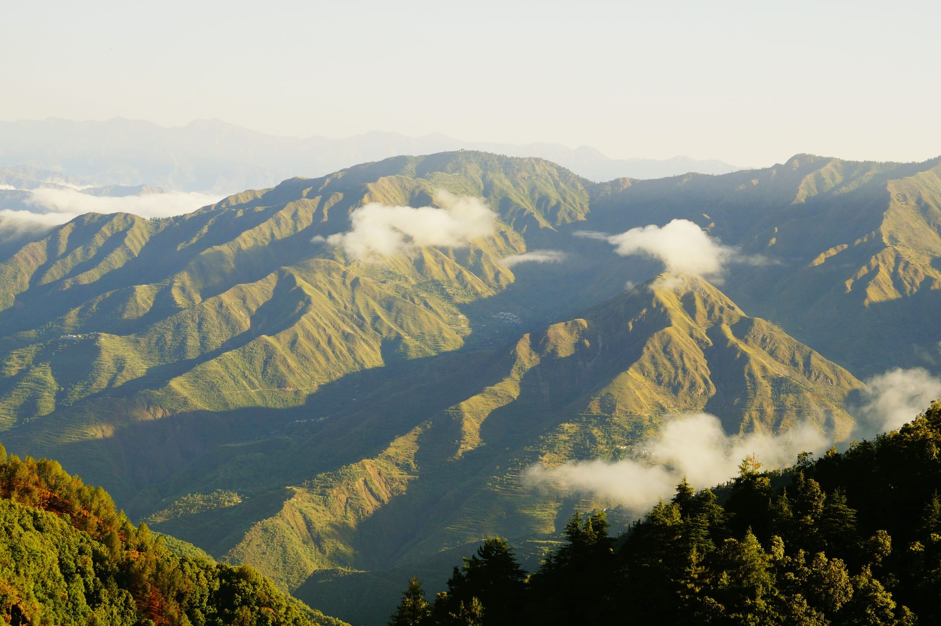Dehradun (Jauligrant) — local identity
