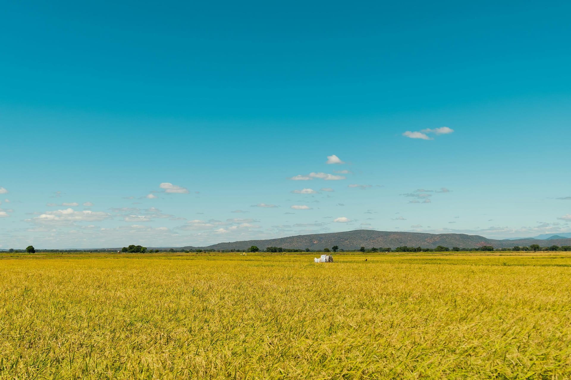 Dodoma — local identity