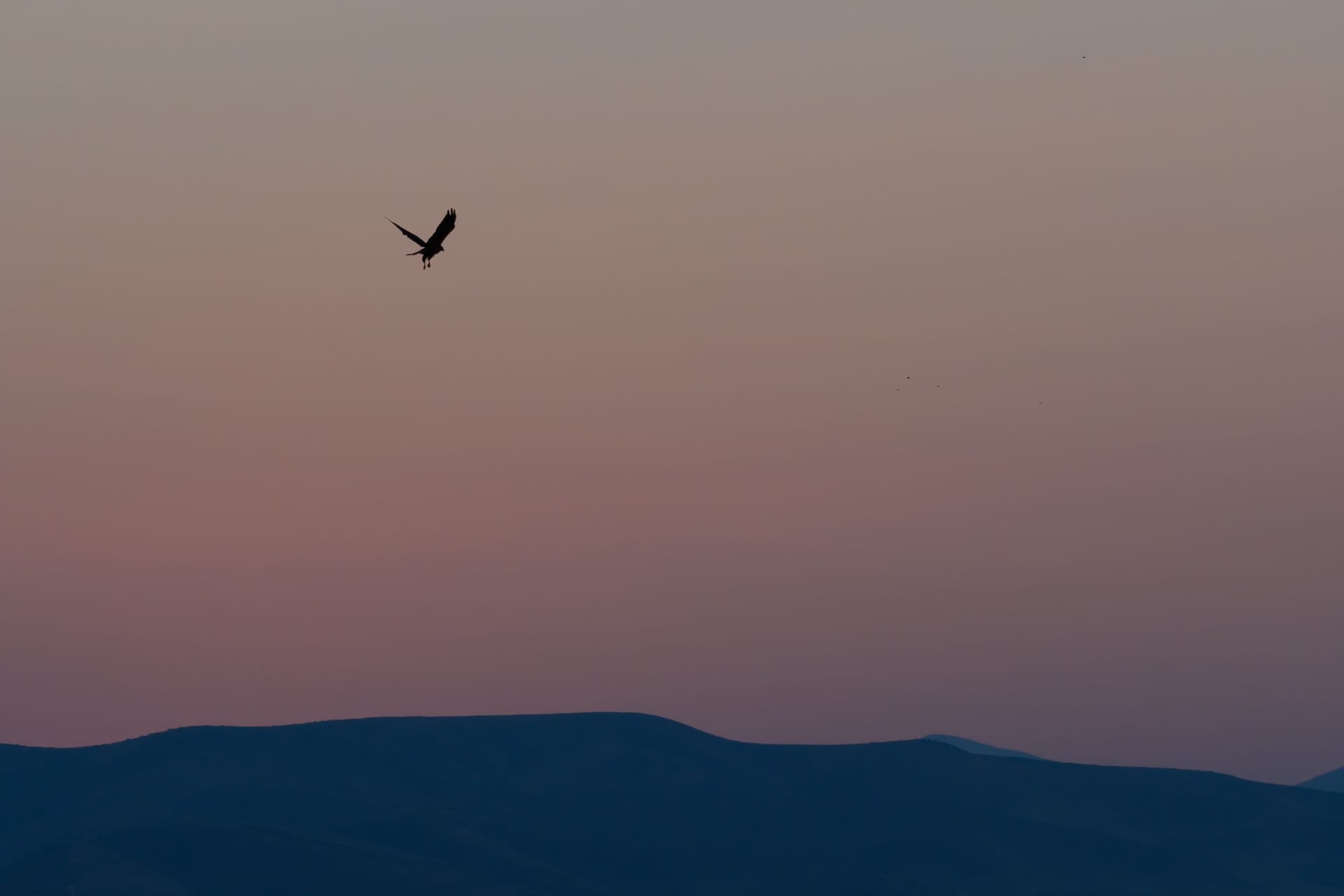 Eagle Pass — local identity