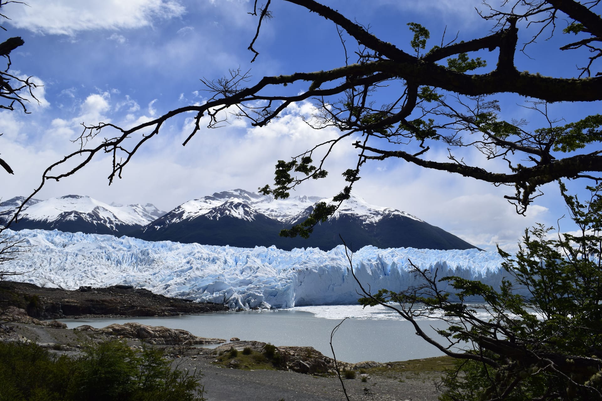 El Calafate — local identity