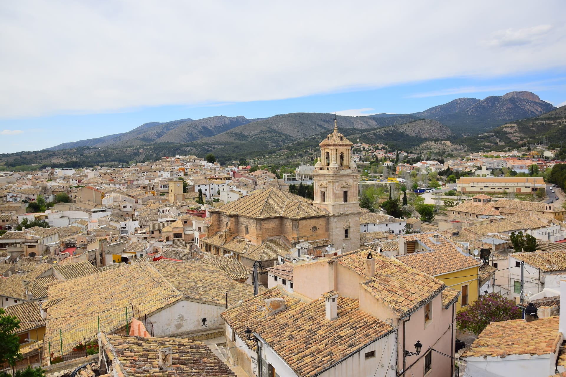 El Matorral — local identity