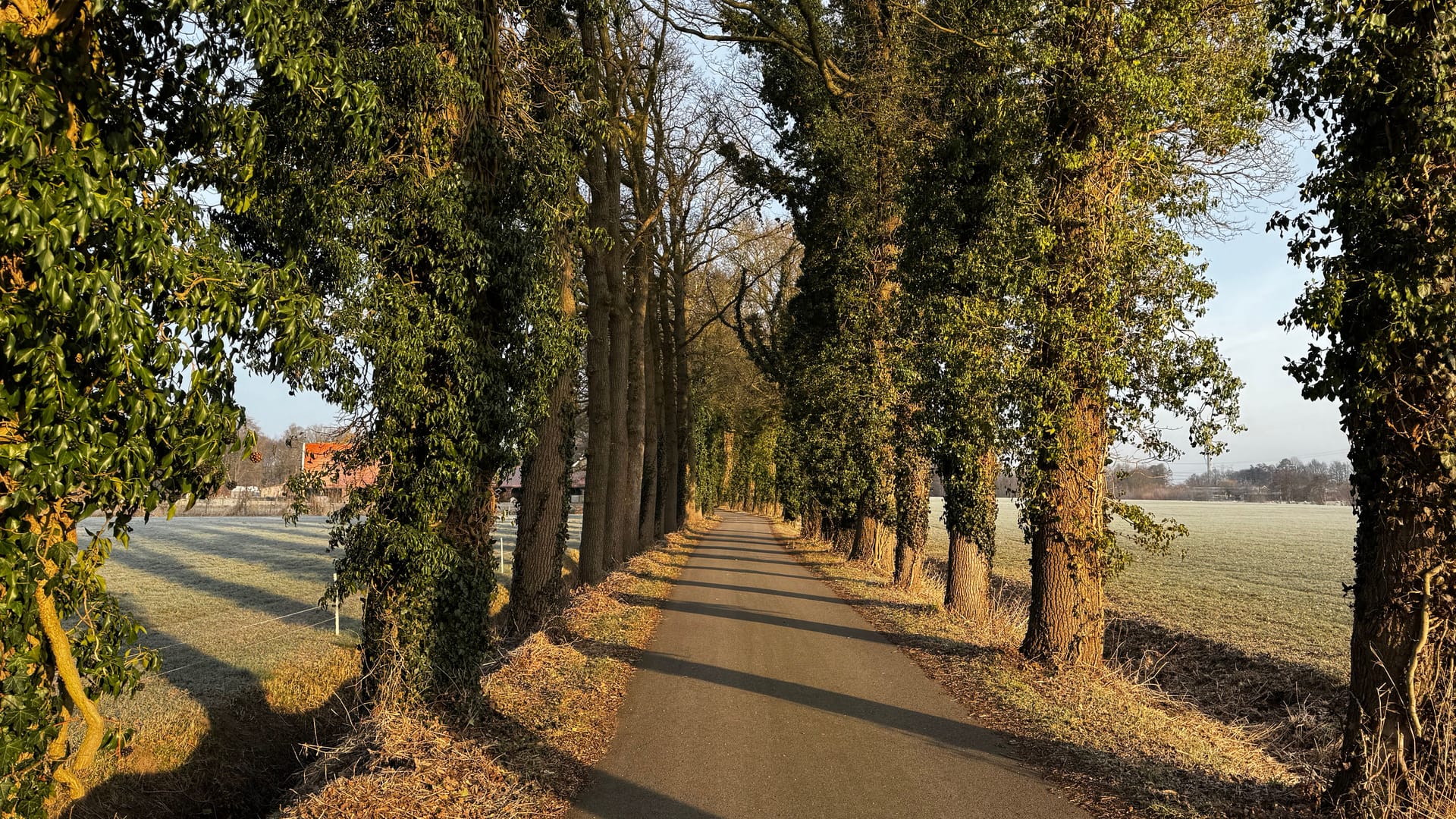 Enschede — local identity