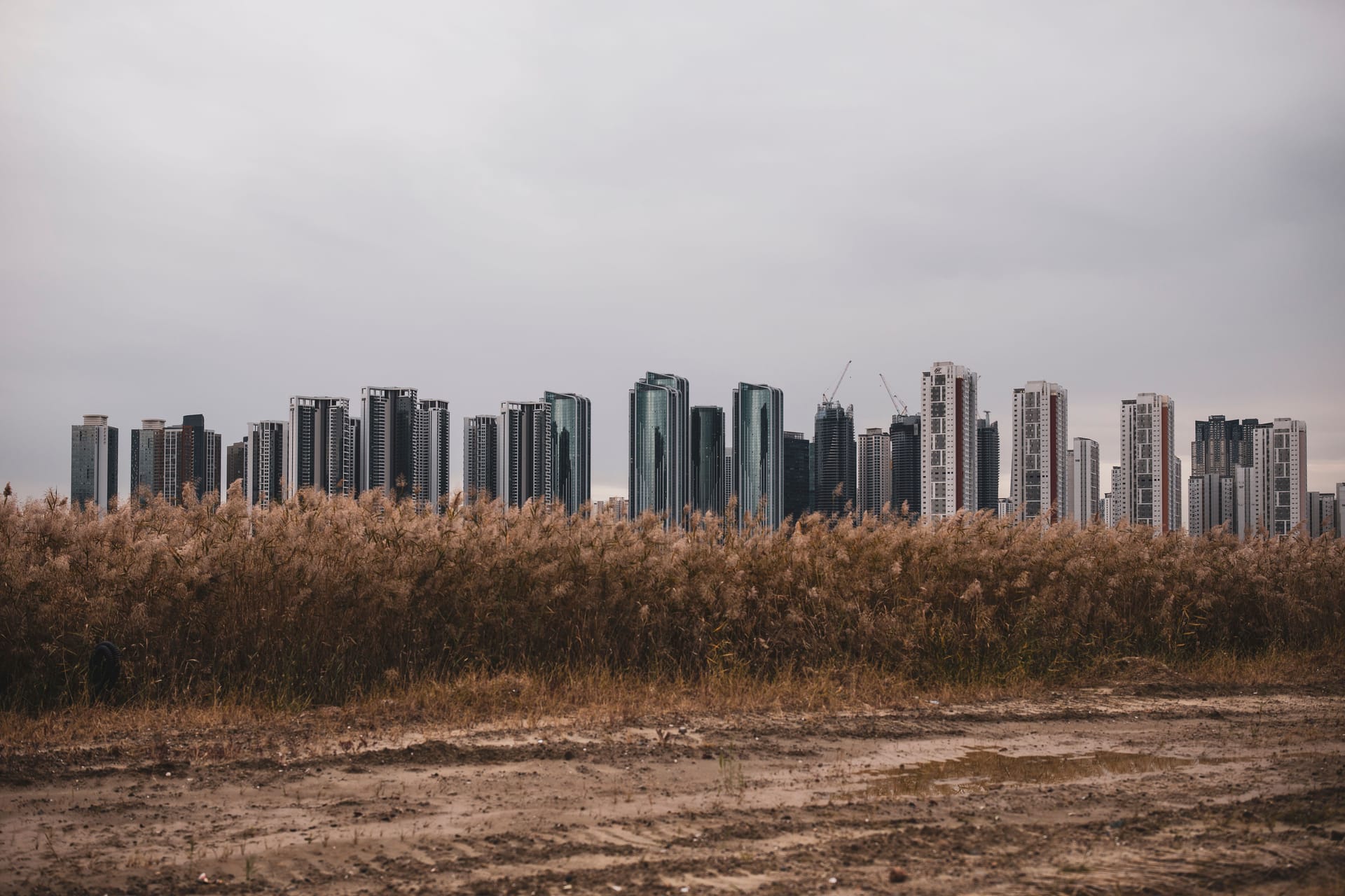 Essendon Fields — local identity