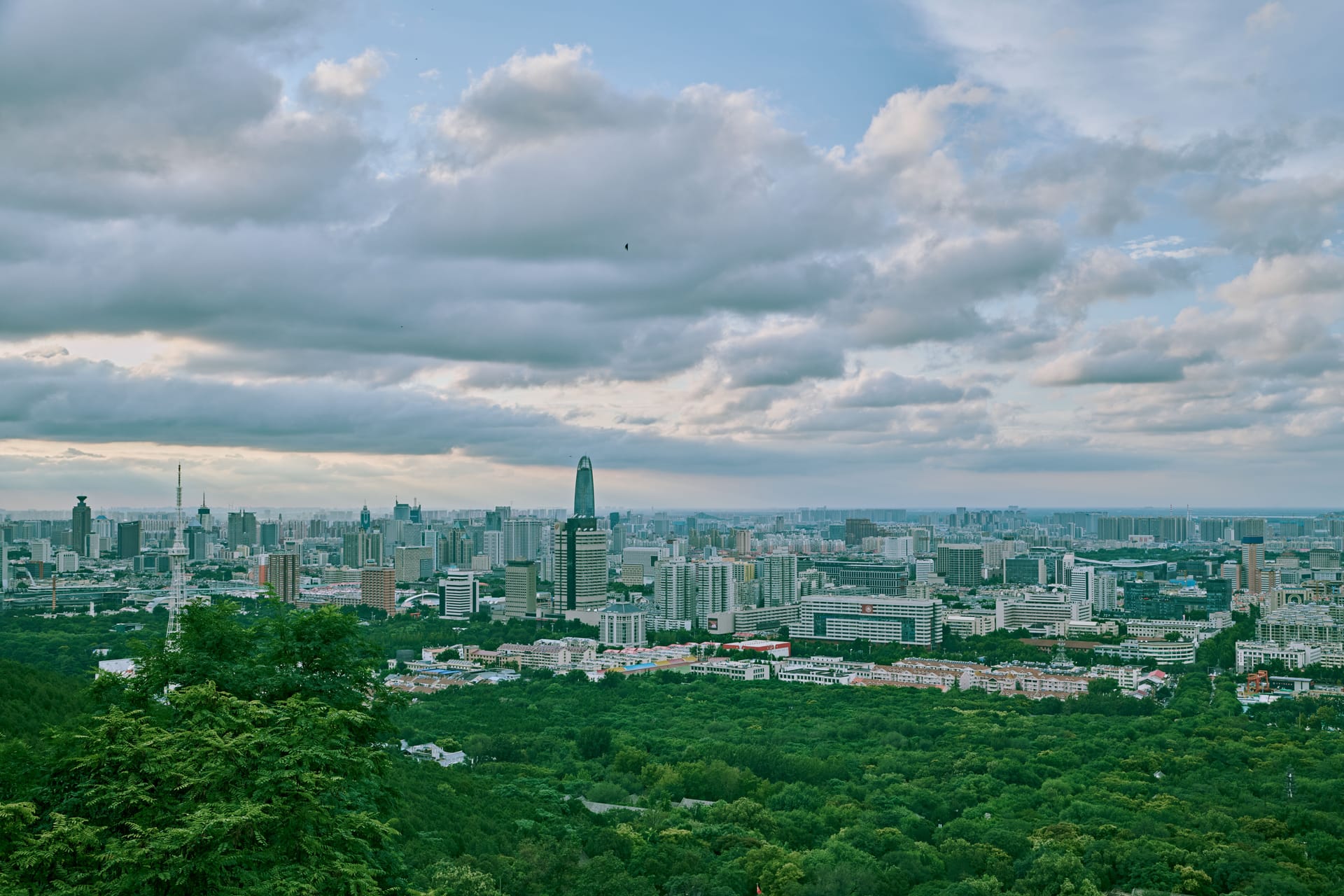 Forest City — local identity
