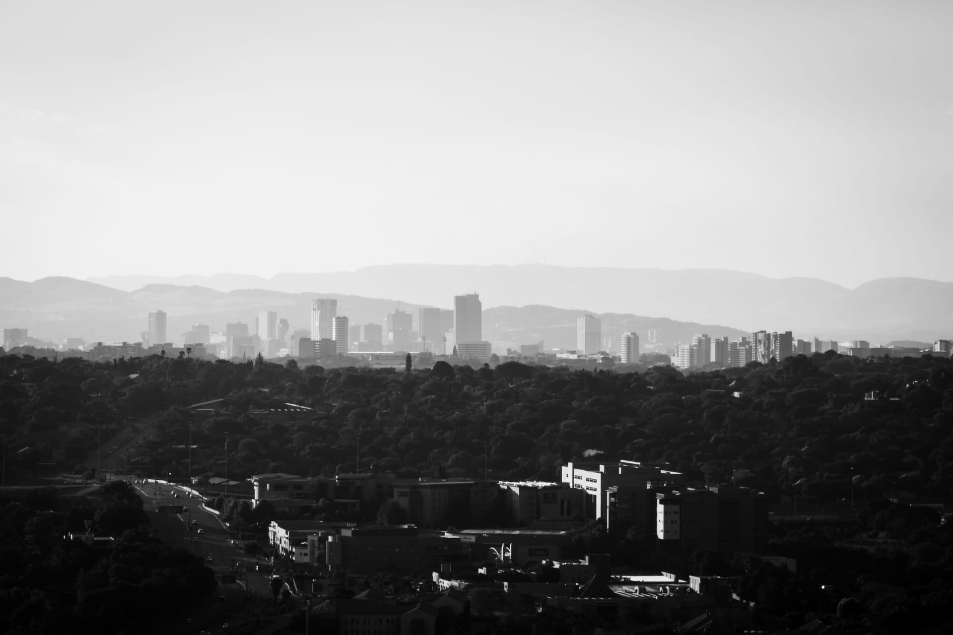 Forest Hill — local identity