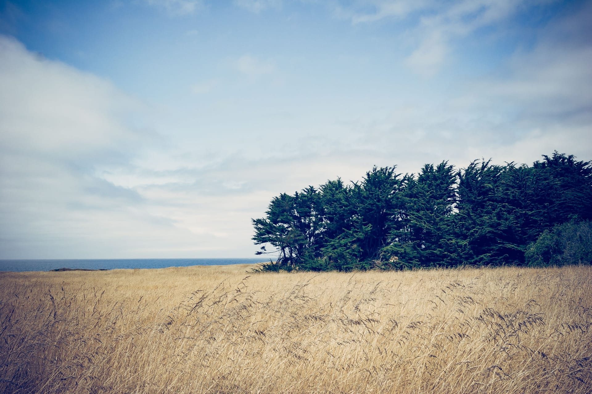 Fort Bragg — local identity