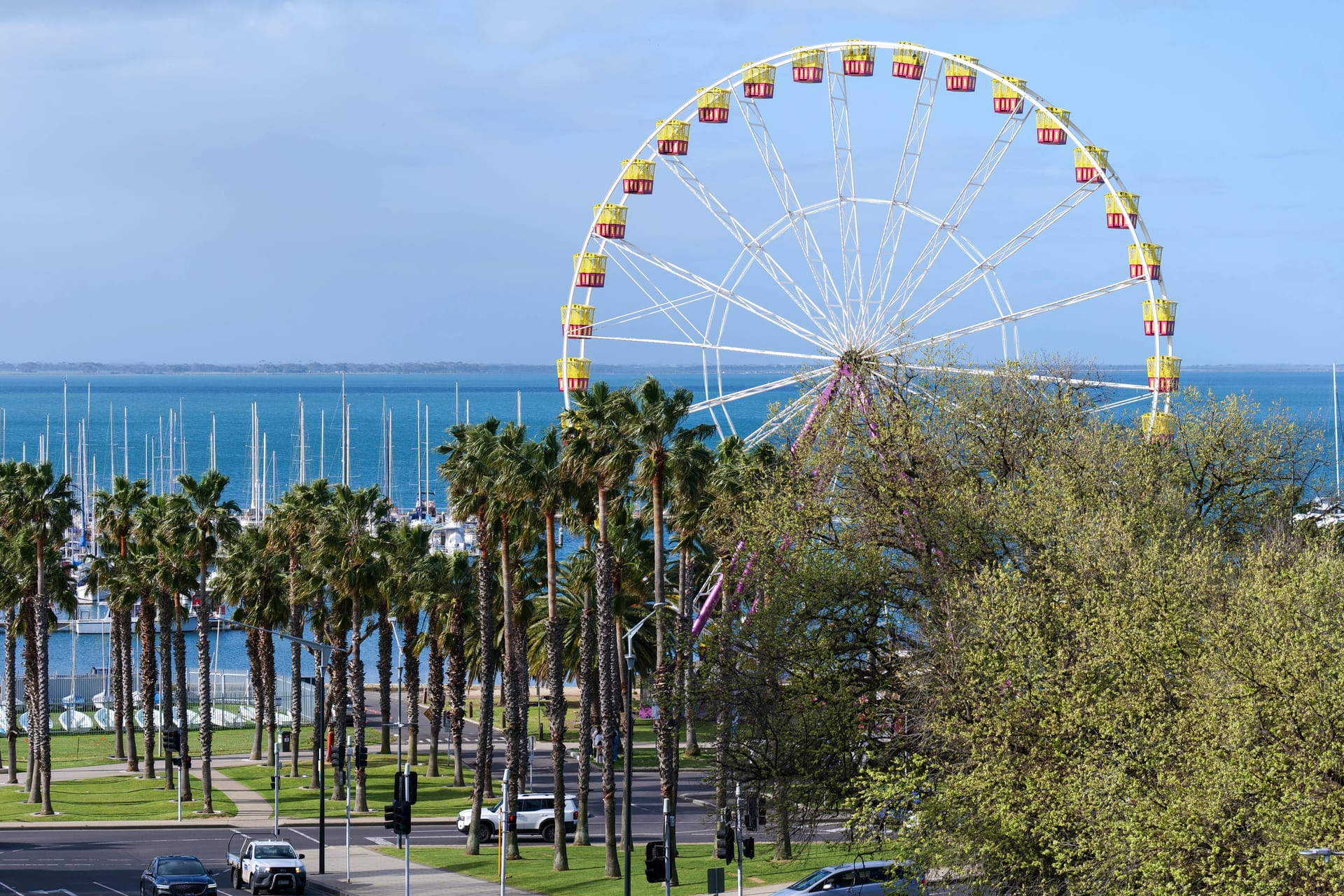 Geelong/Melbourne — local identity