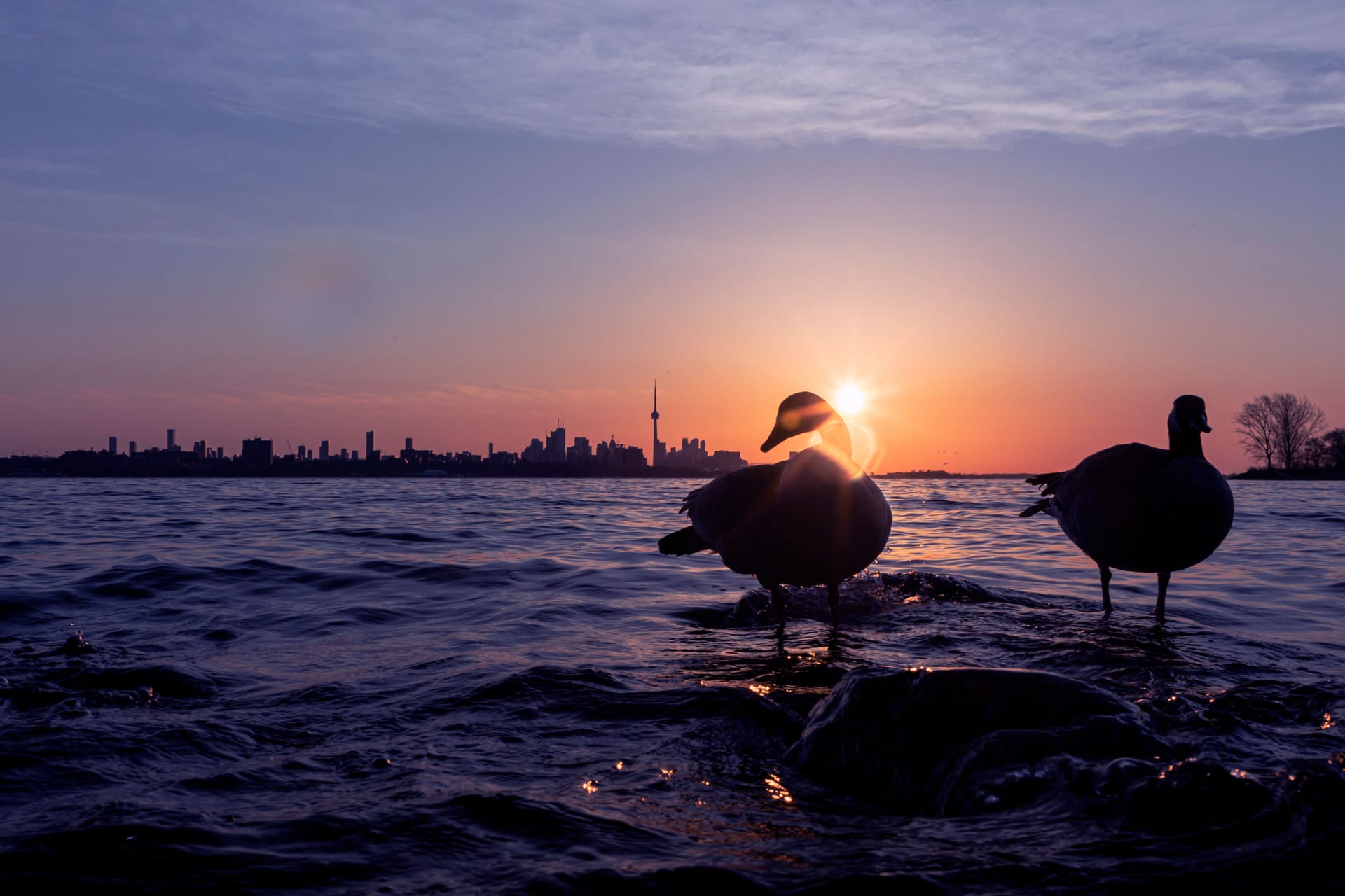 Goose Bay — local identity