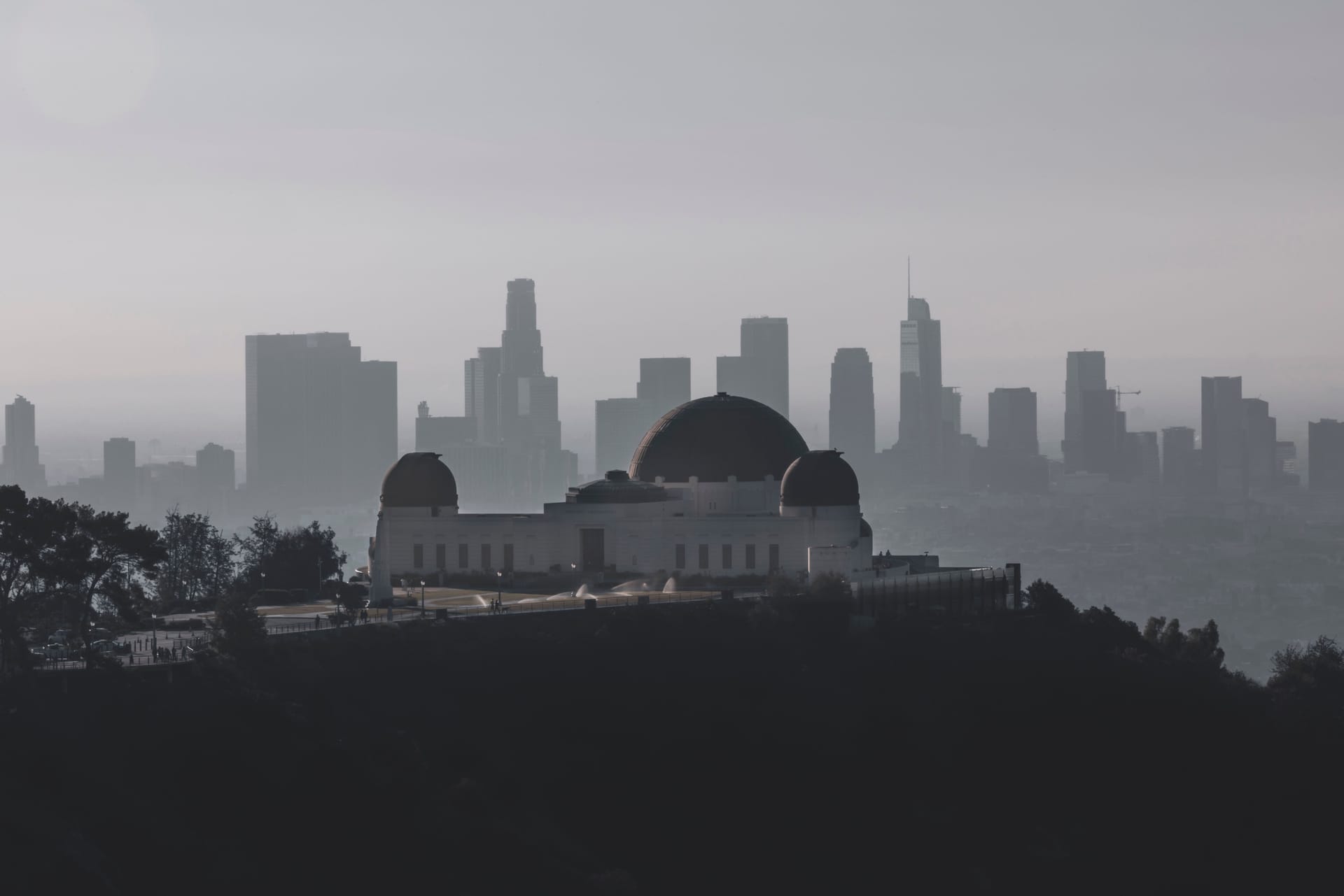 Griffith — local identity