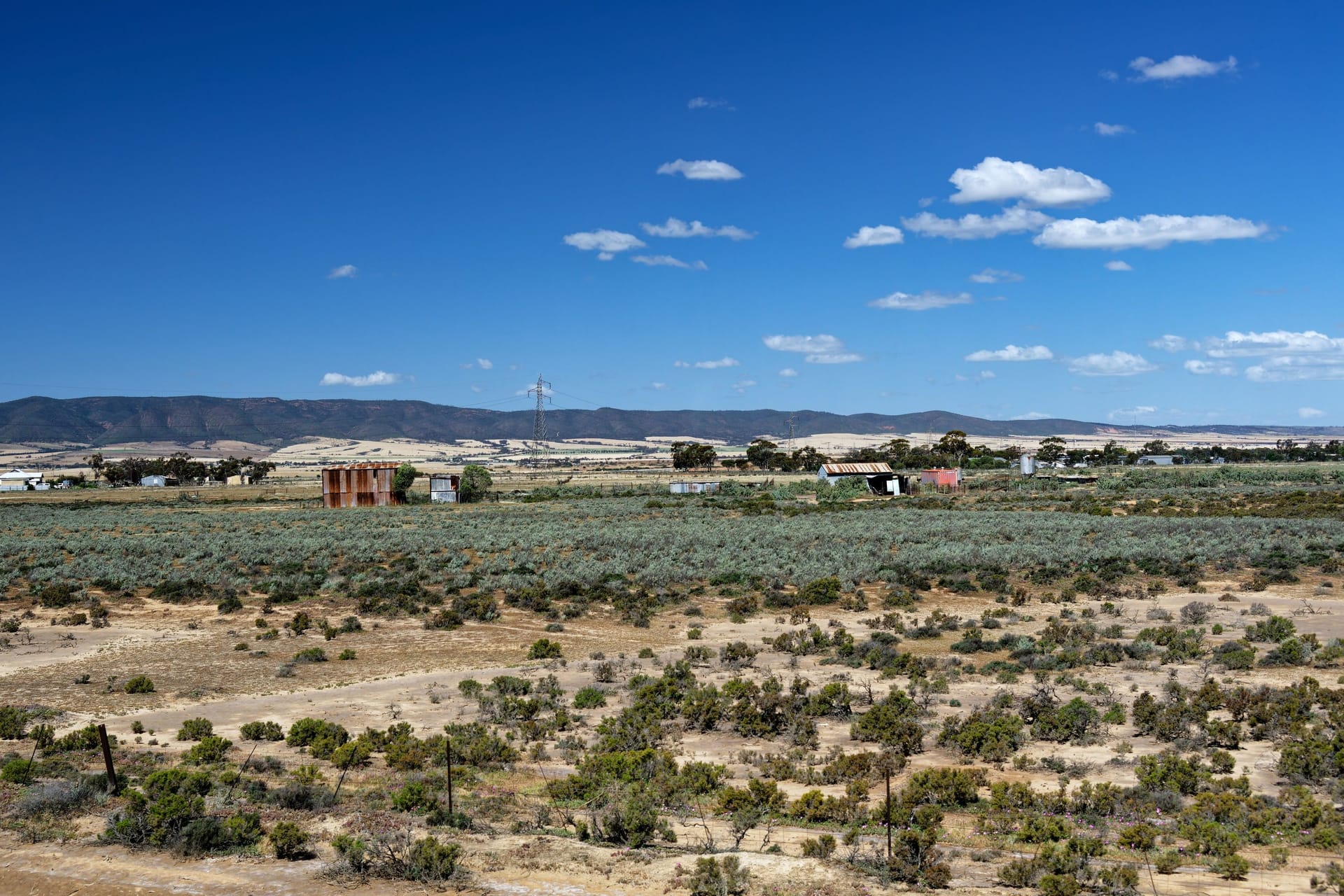 Gunnedah — local identity