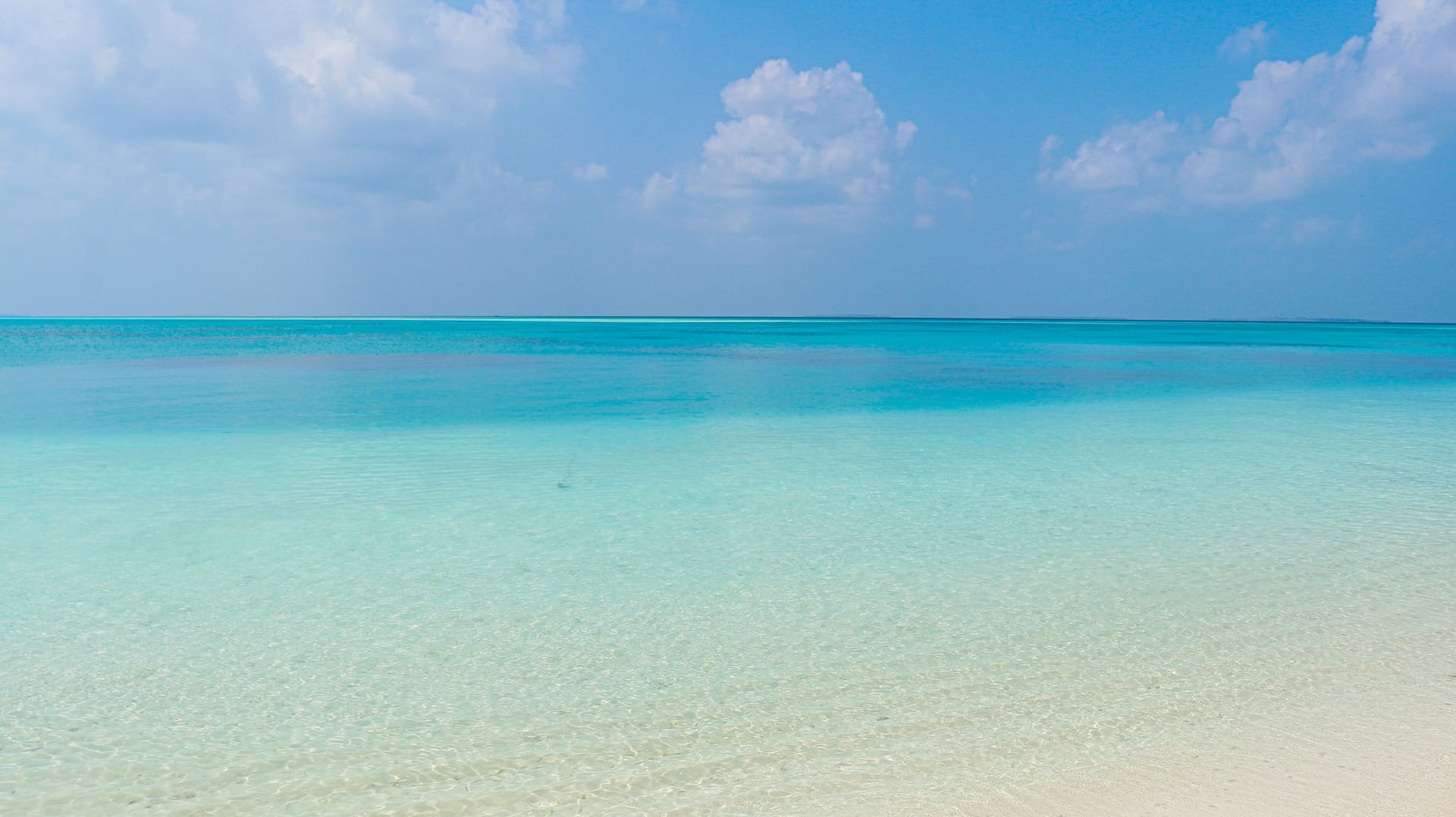 Haa Dhaalu Atoll — local identity