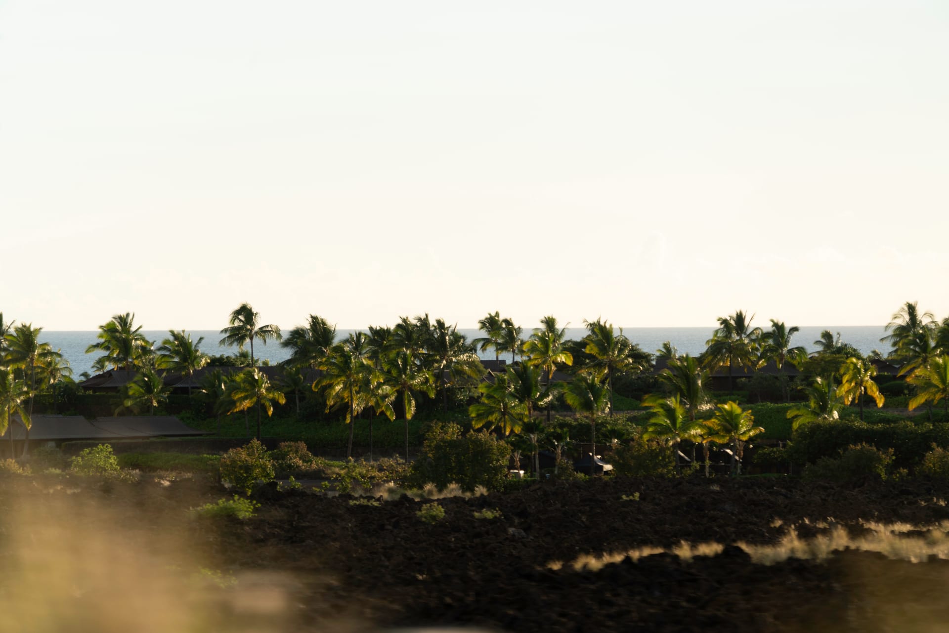 Hilo — local identity