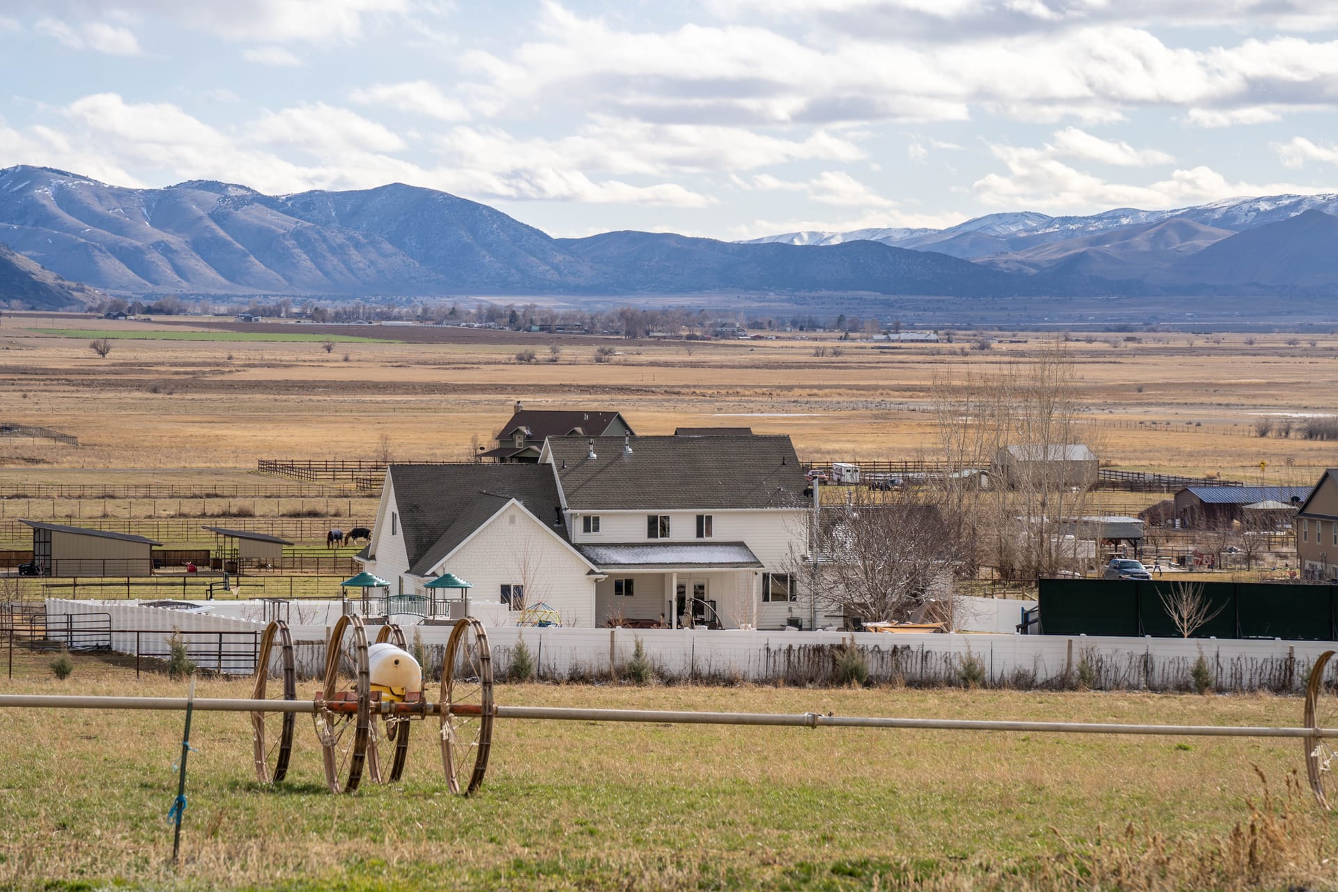 Homestead — local identity