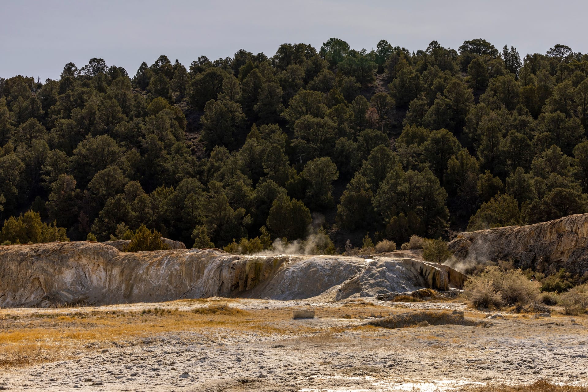 Hot Springs — local identity