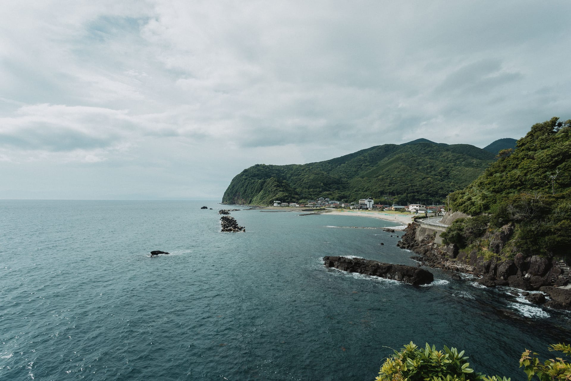 Izu Oshima — local identity
