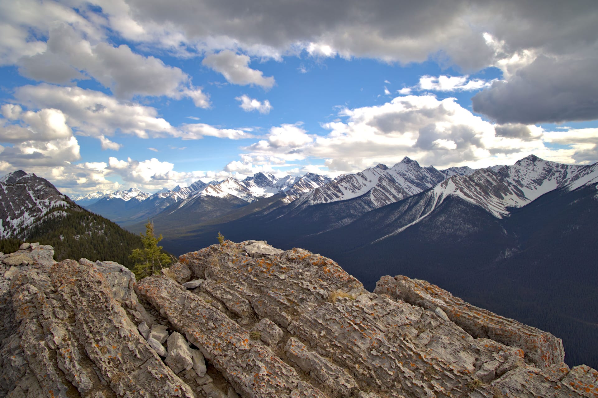 Jasper — local identity