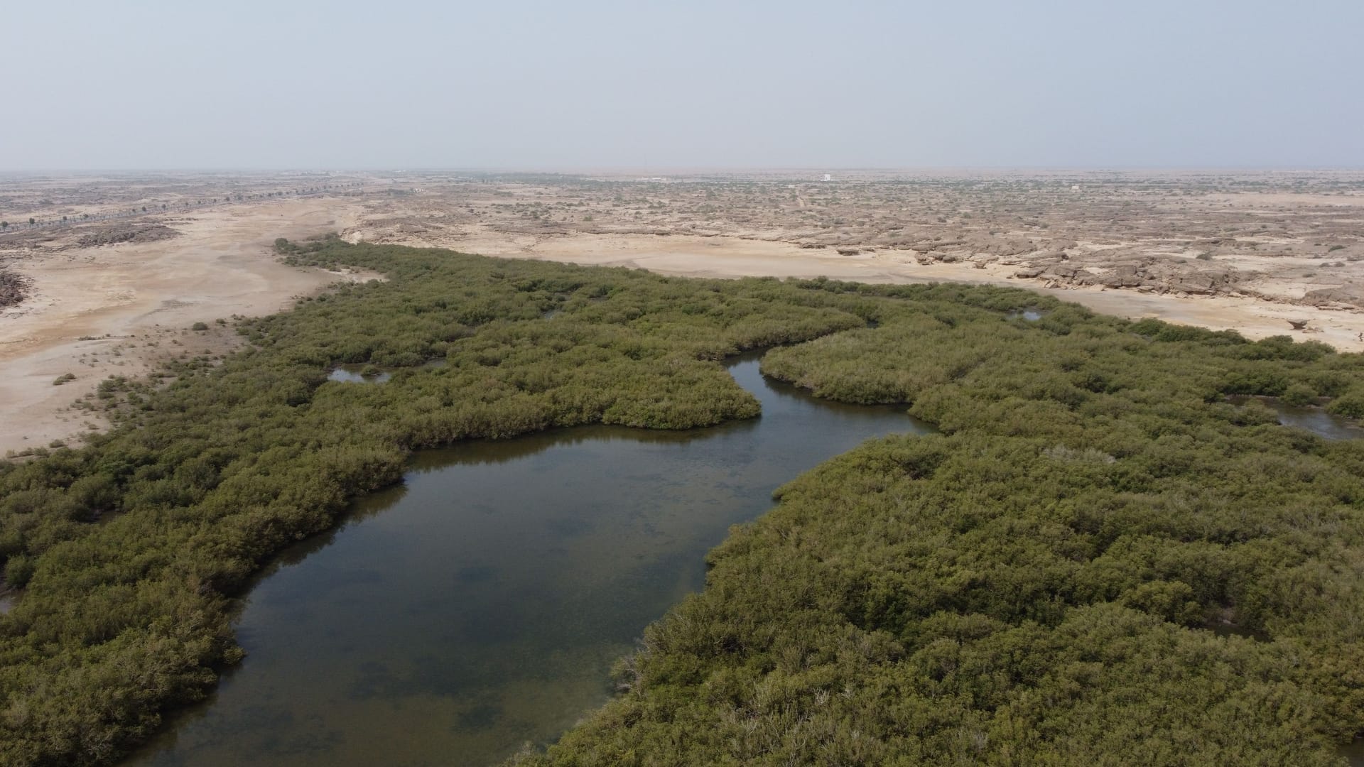 Jizan — local identity
