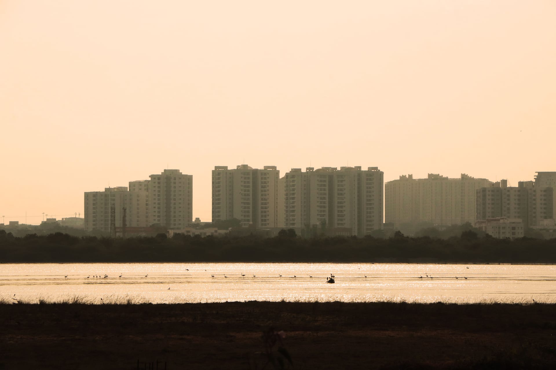 Kadapa — local identity