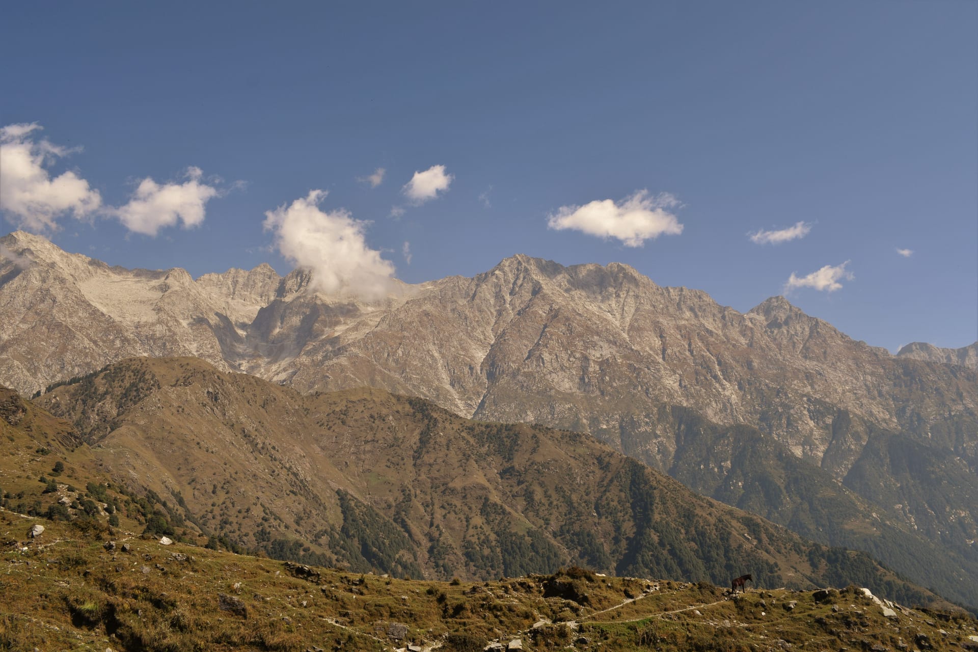 Kangra — local identity