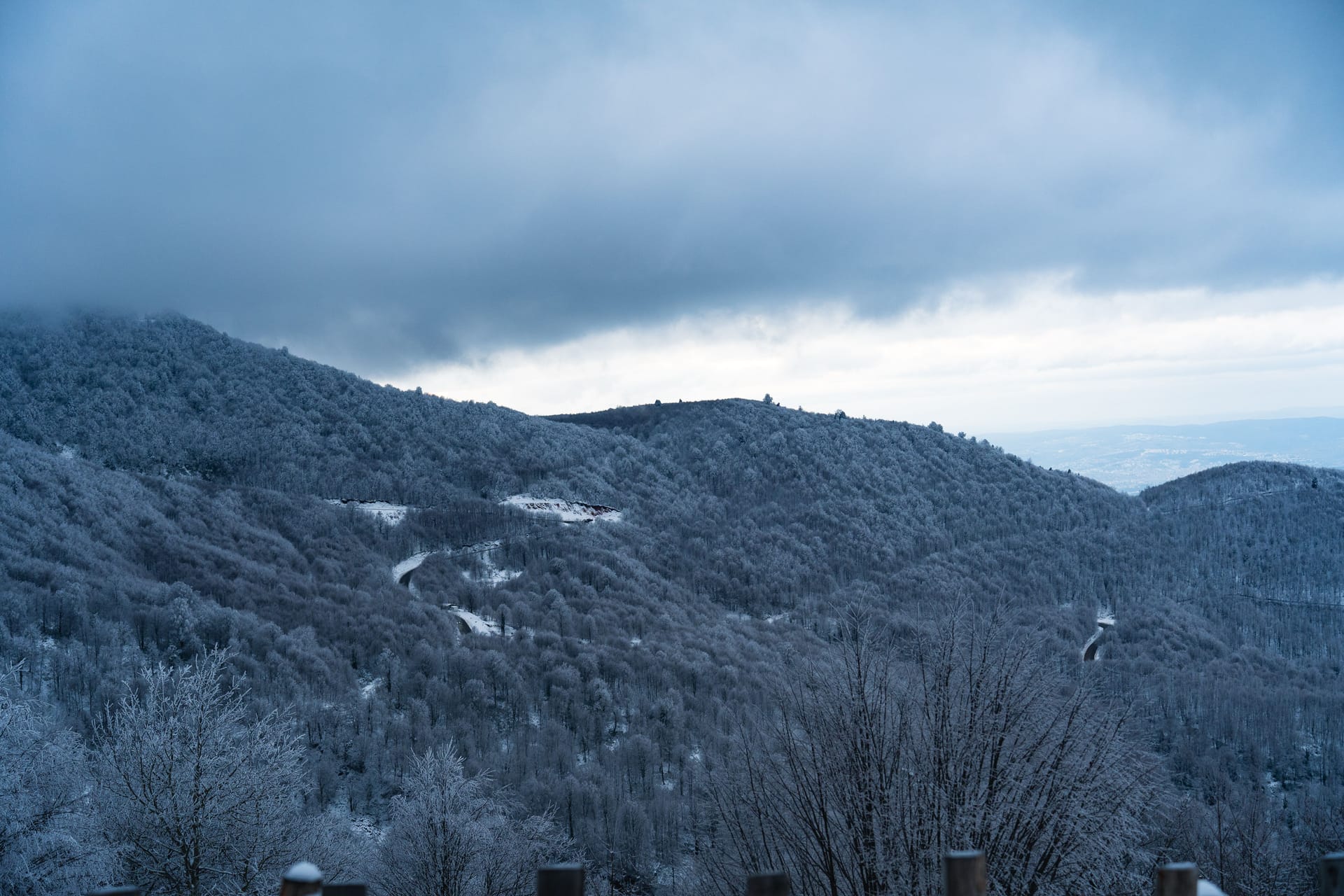 Kartepe — local identity