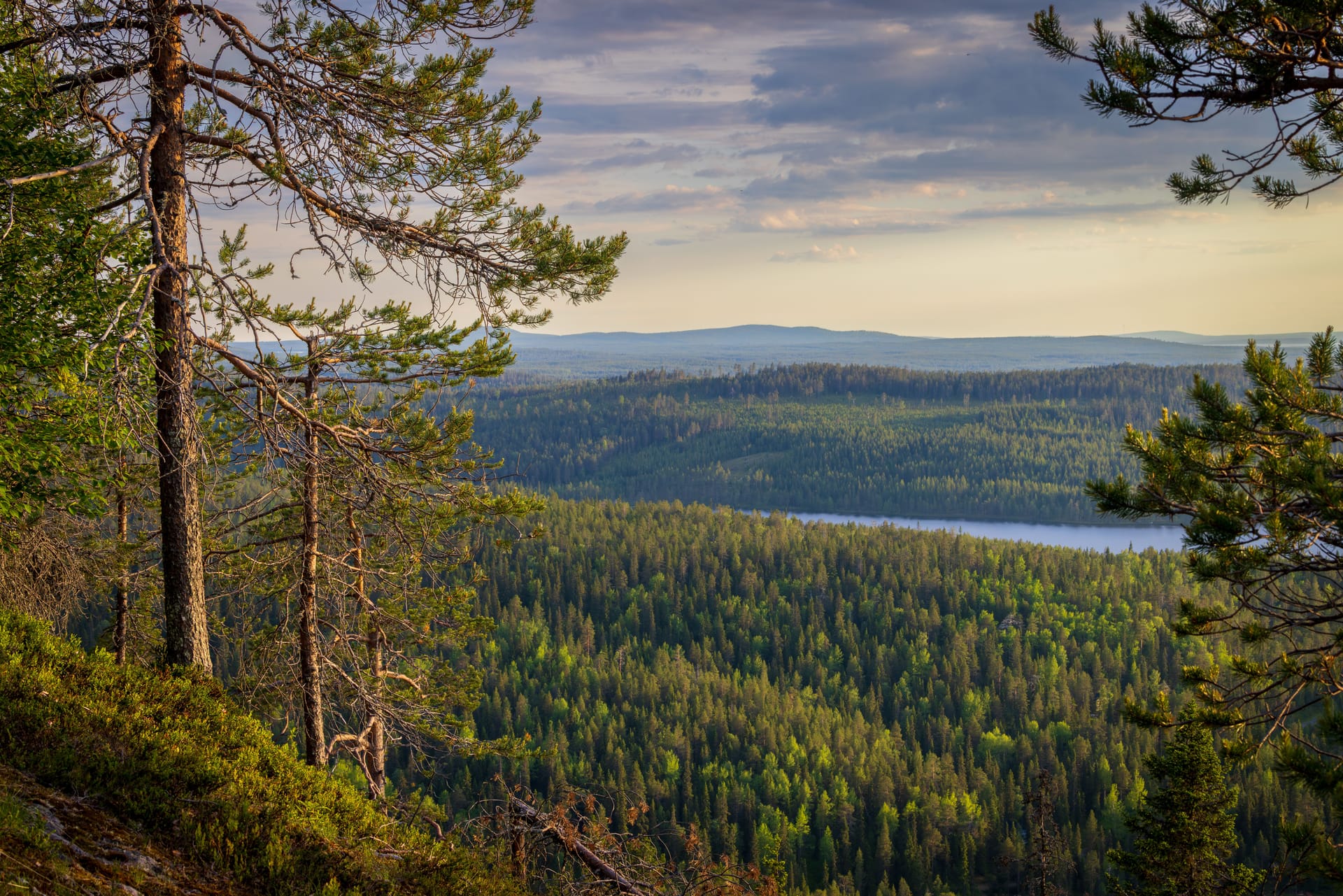 Kuusamo — local identity