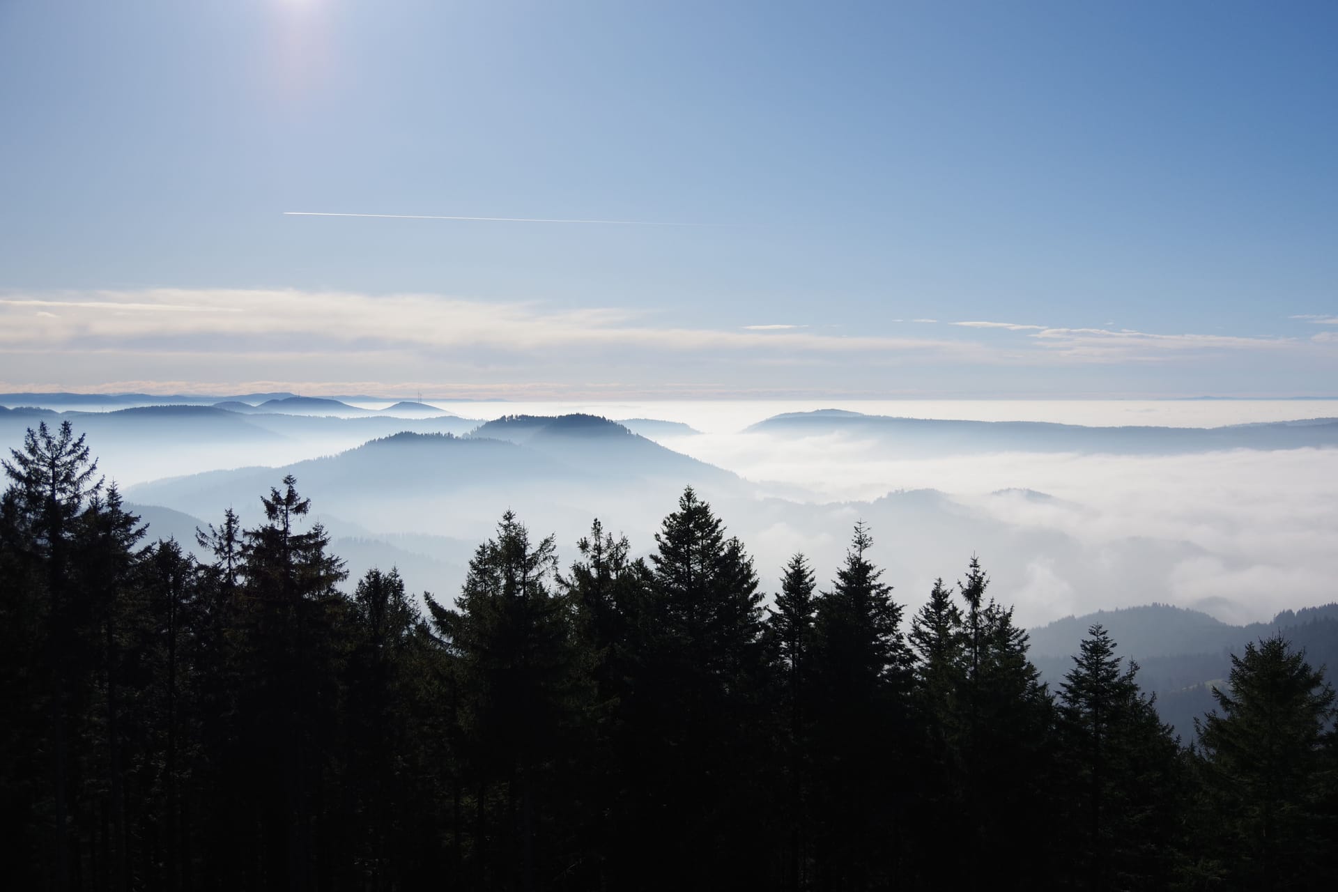 Lahr/Schwarzwald — local identity