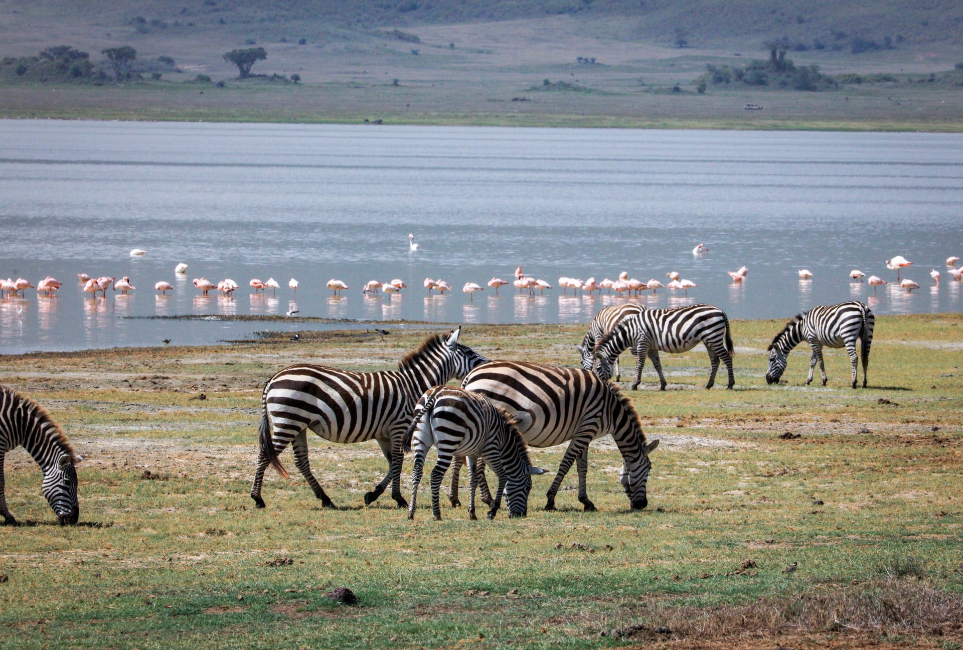 Lake Manyara National Park — local identity