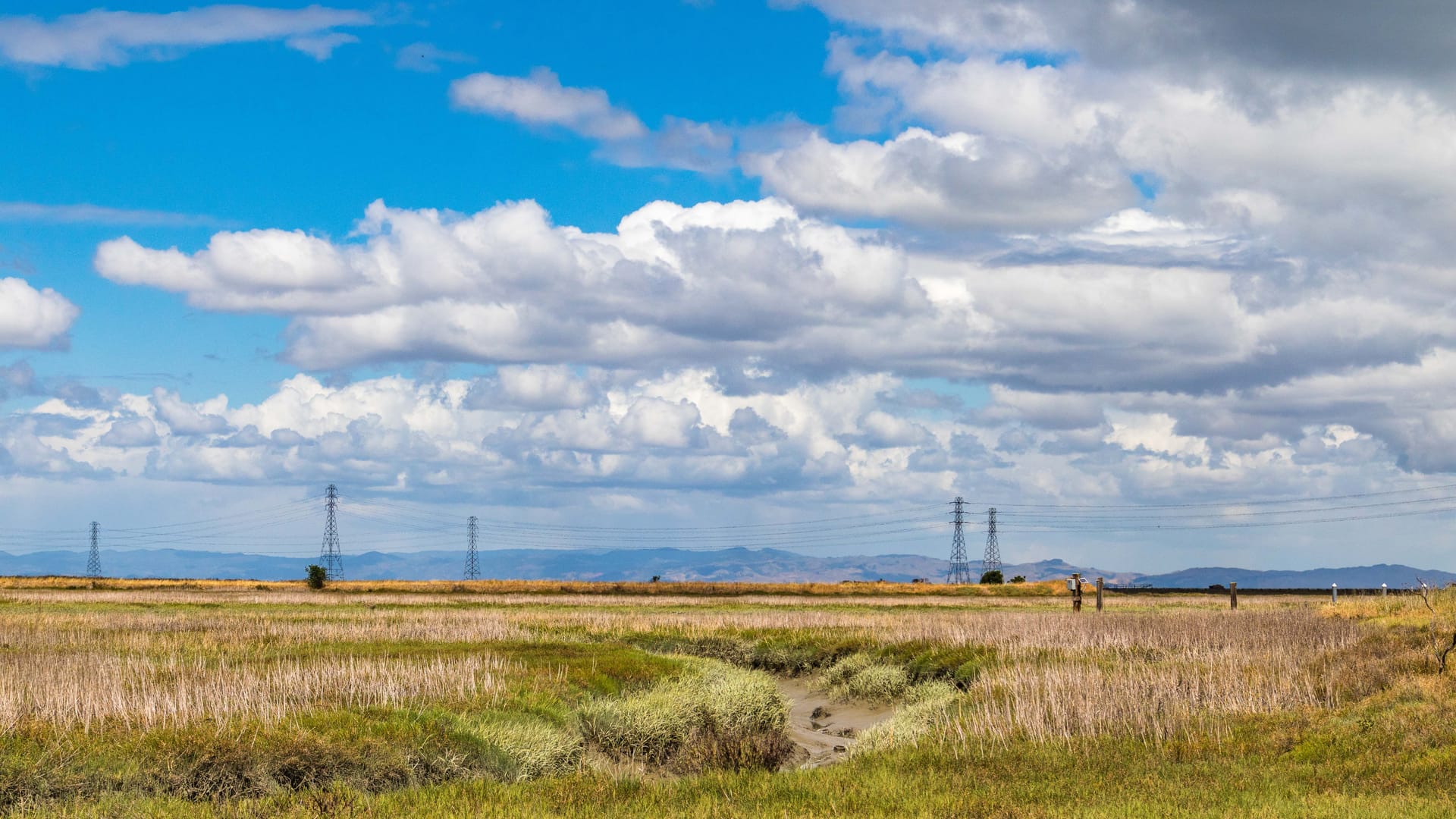 Leigh Creek — local identity