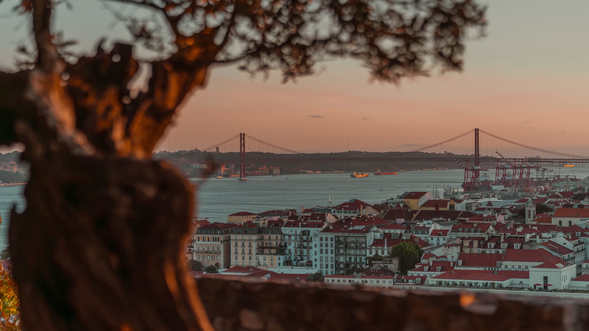 Lisbon — local identity