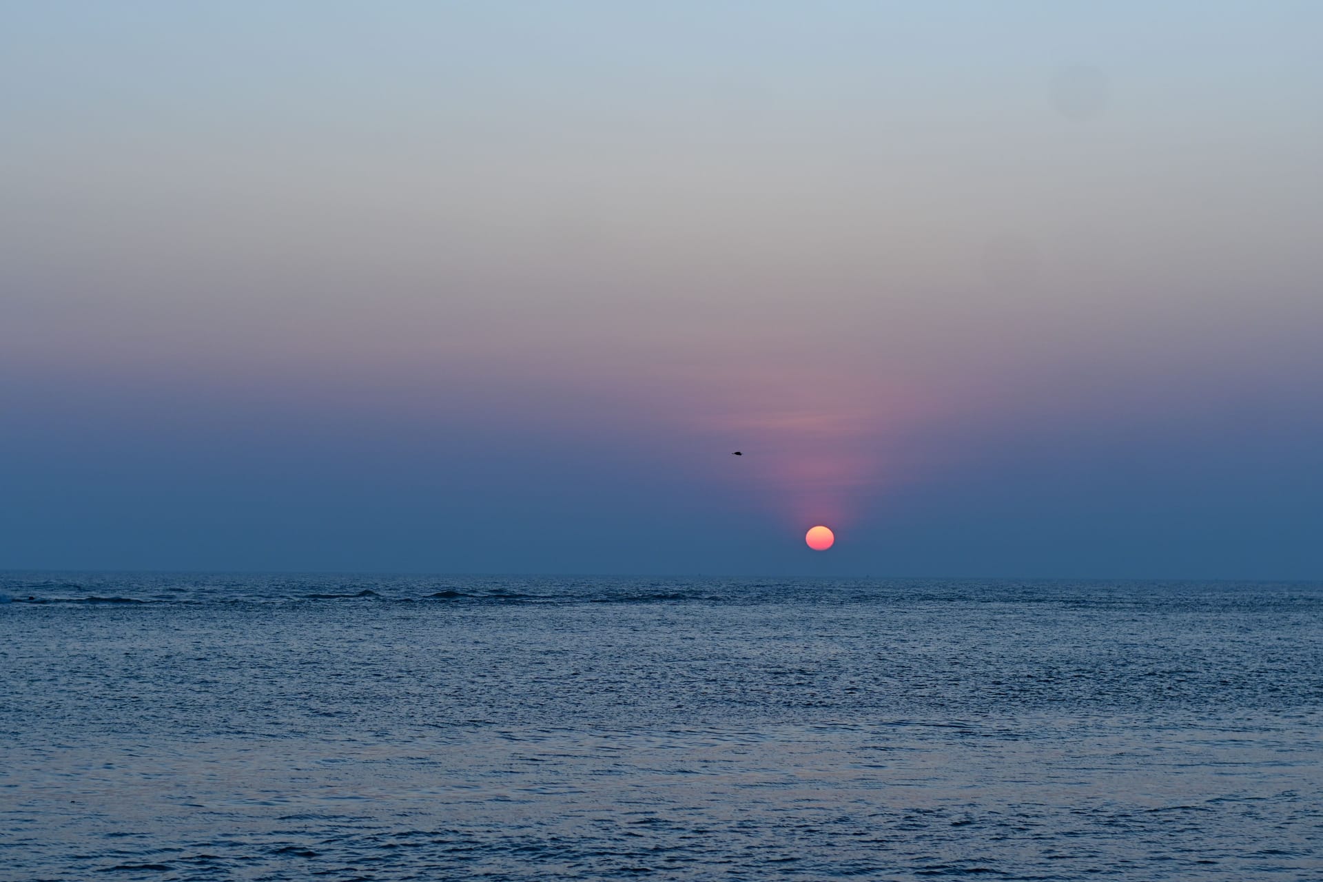 Mangaluru — local identity